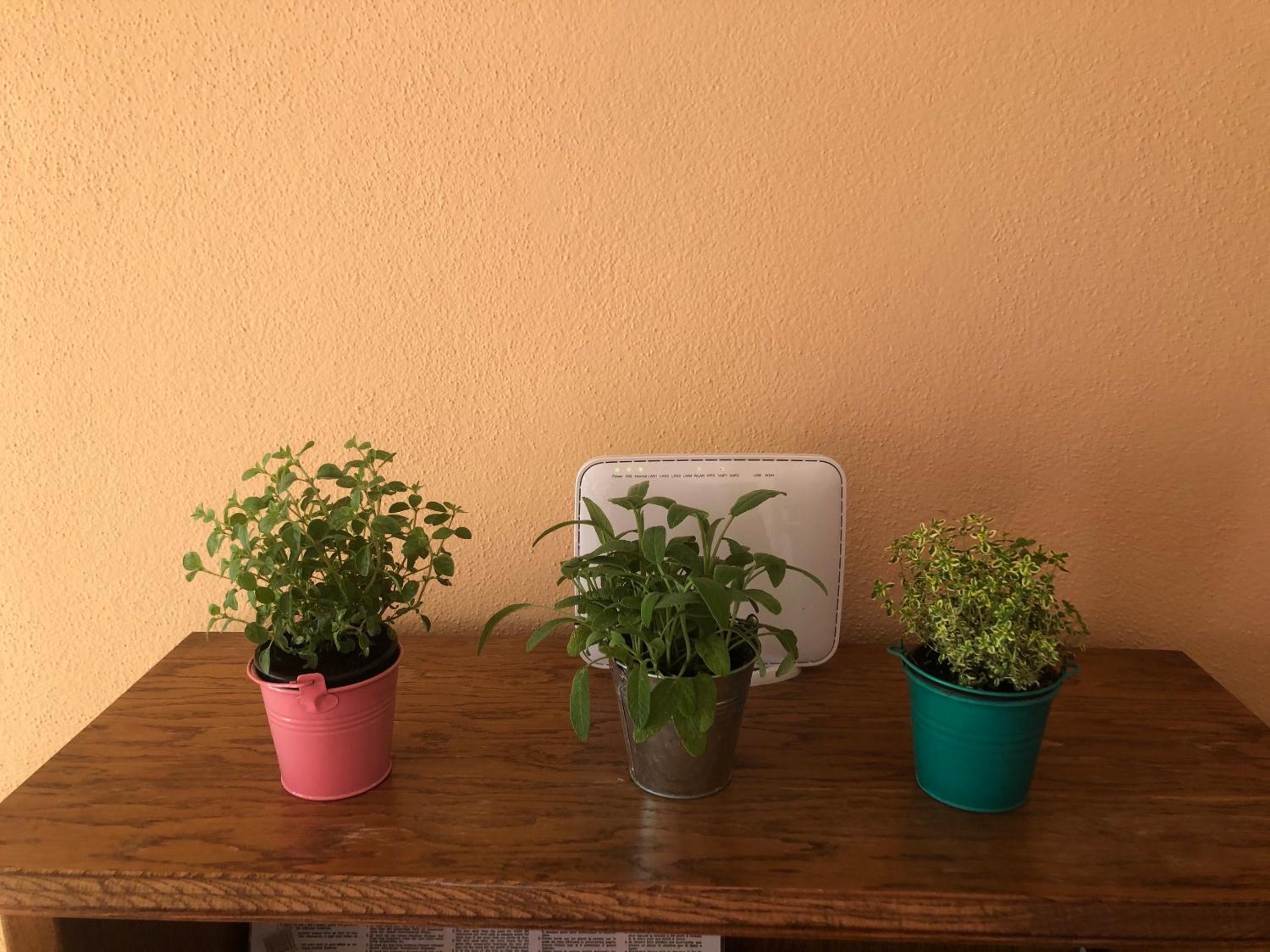 Photo 26