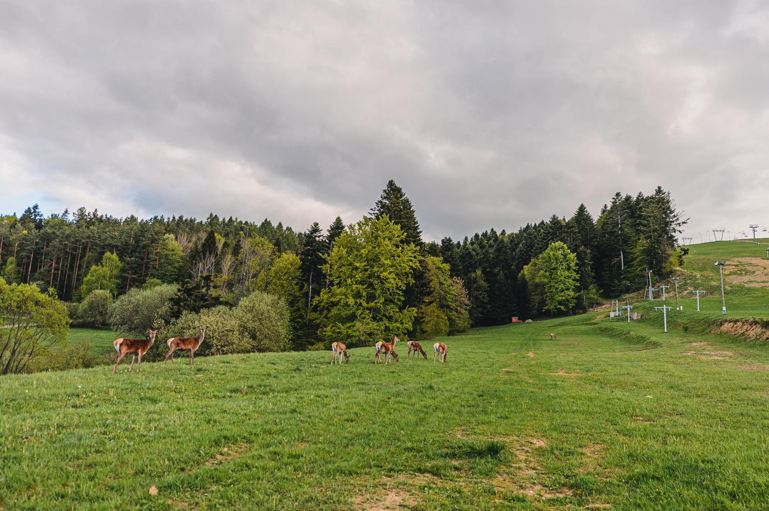 children's play area