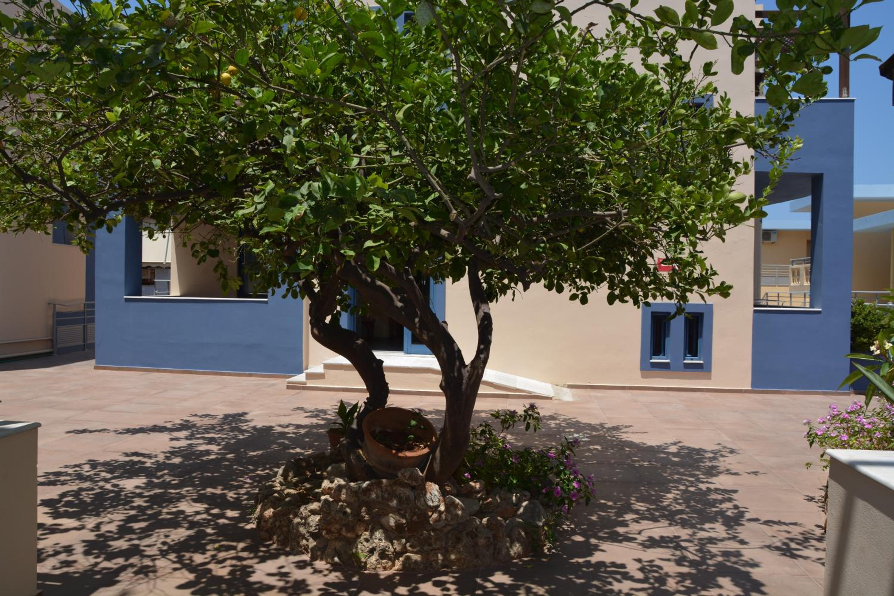 Photo 23