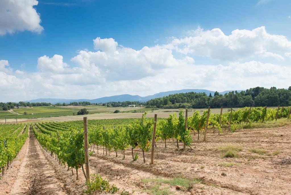 Château Canet