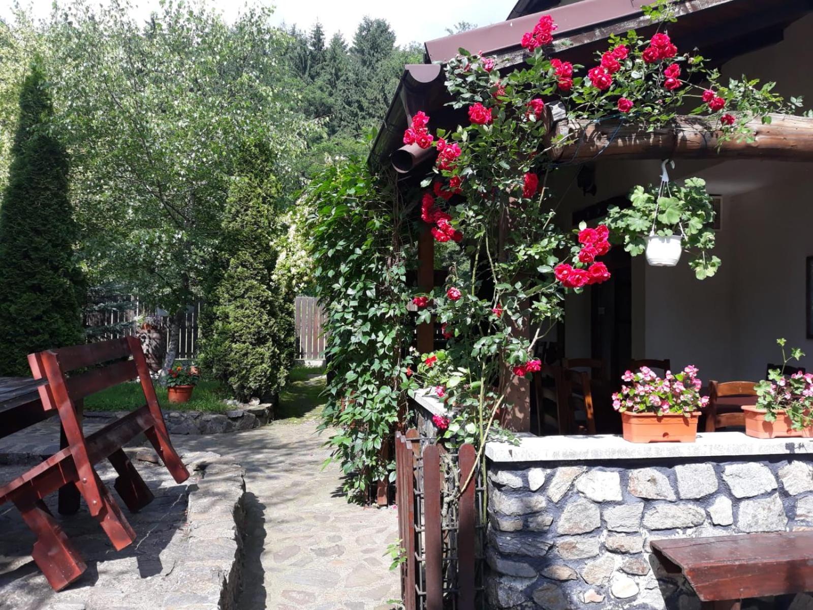 Pensiunea Trei Ponei view 3