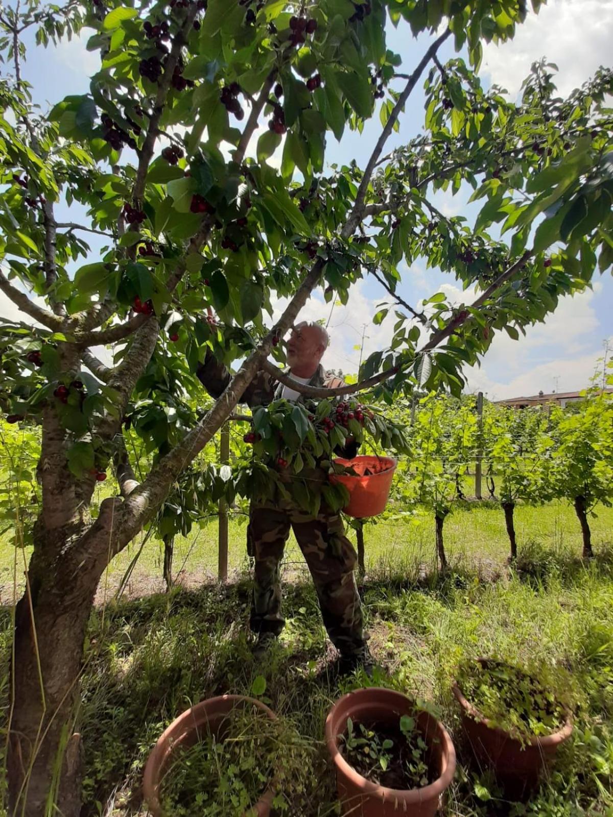 Agriturismo Mulino Bianco