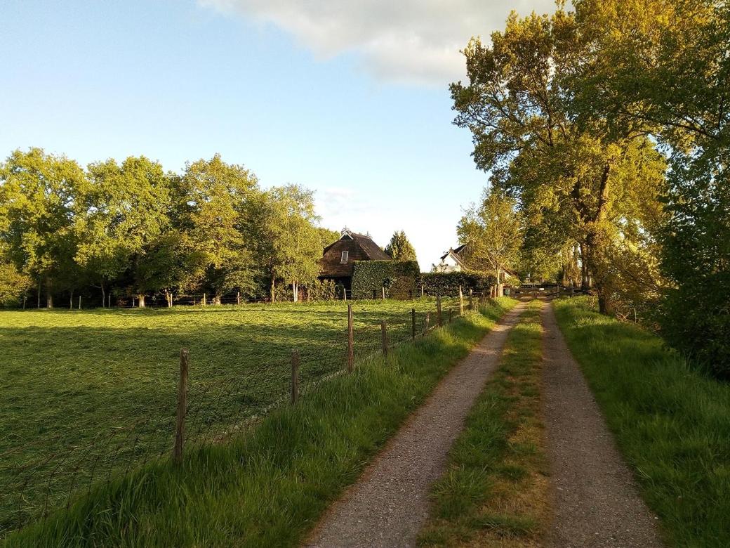 B&B De Flecht - De Ljip view 3