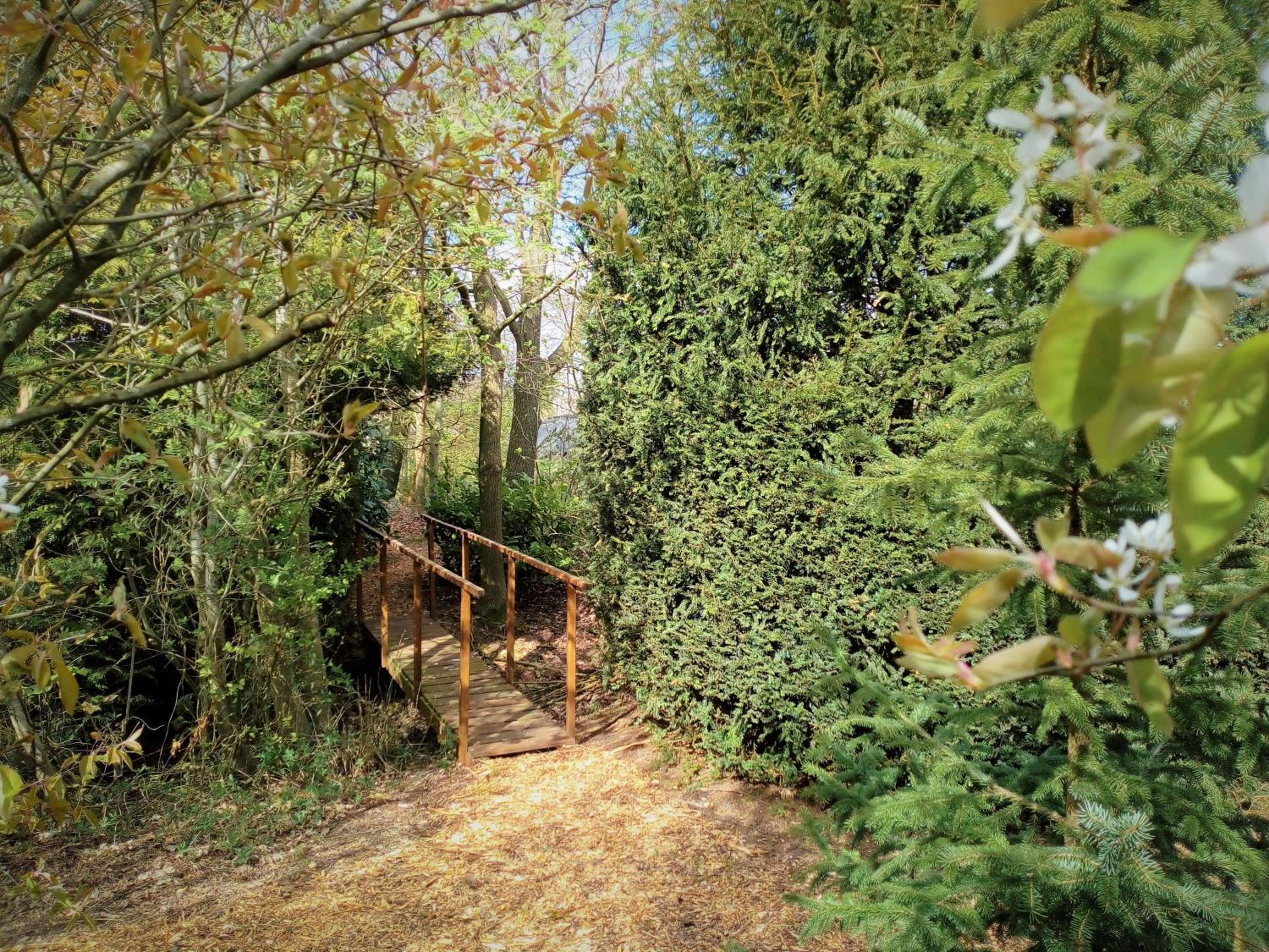 Photo 23