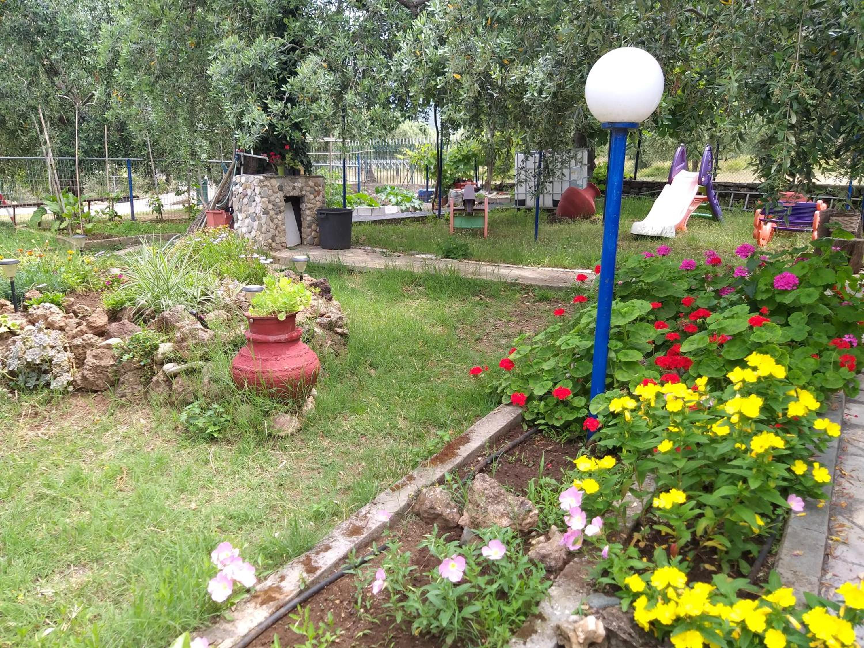 Photo 28