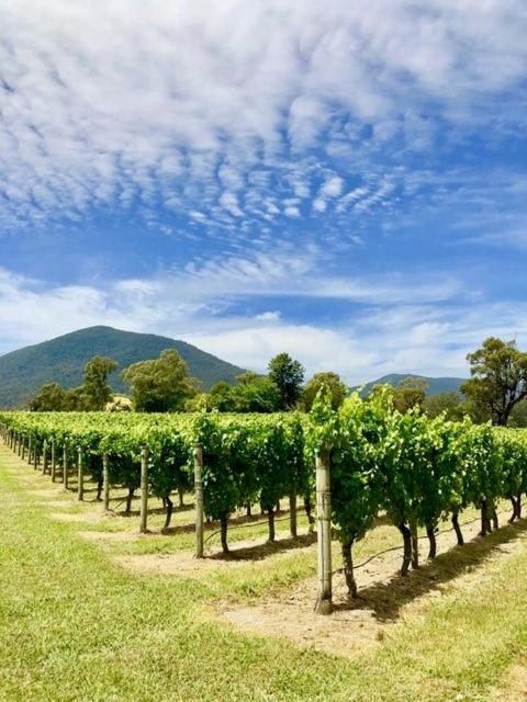 Mi Casa - Healesville