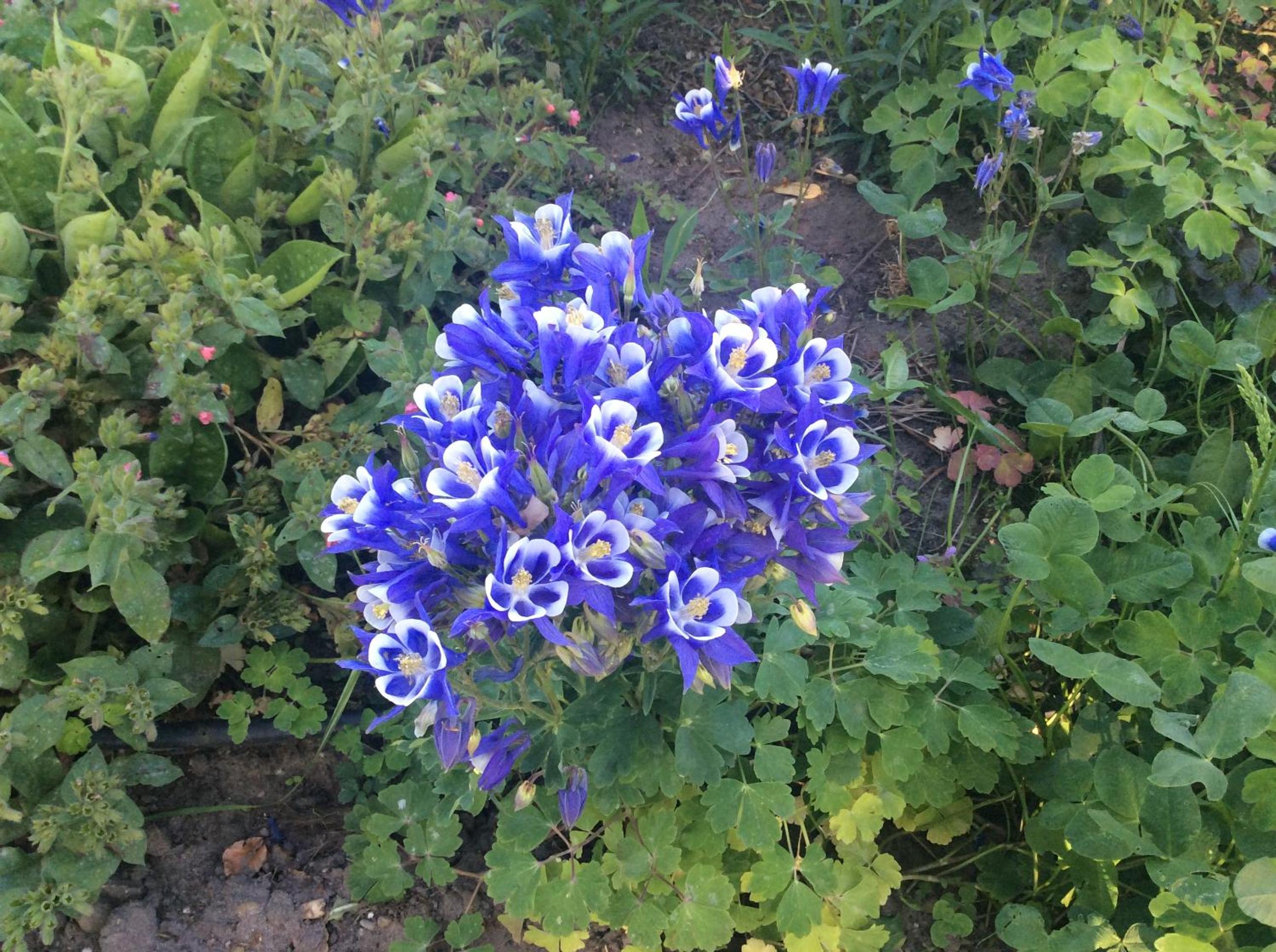 Photo 13