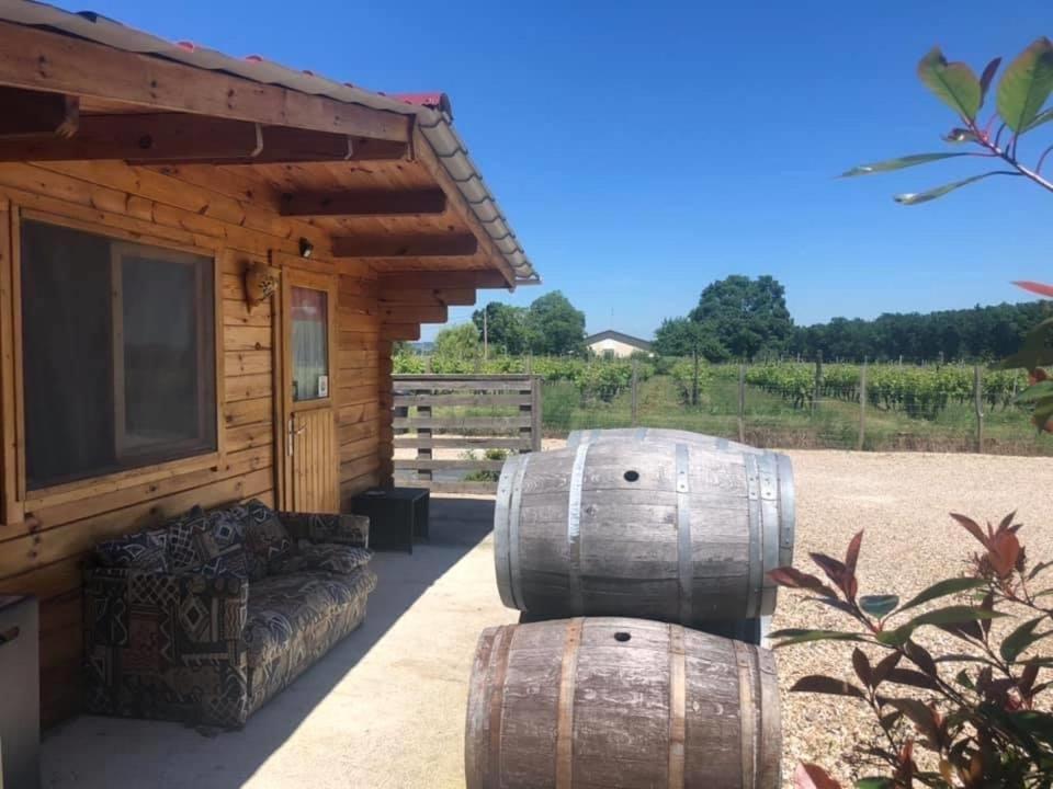 Le sang des vignes