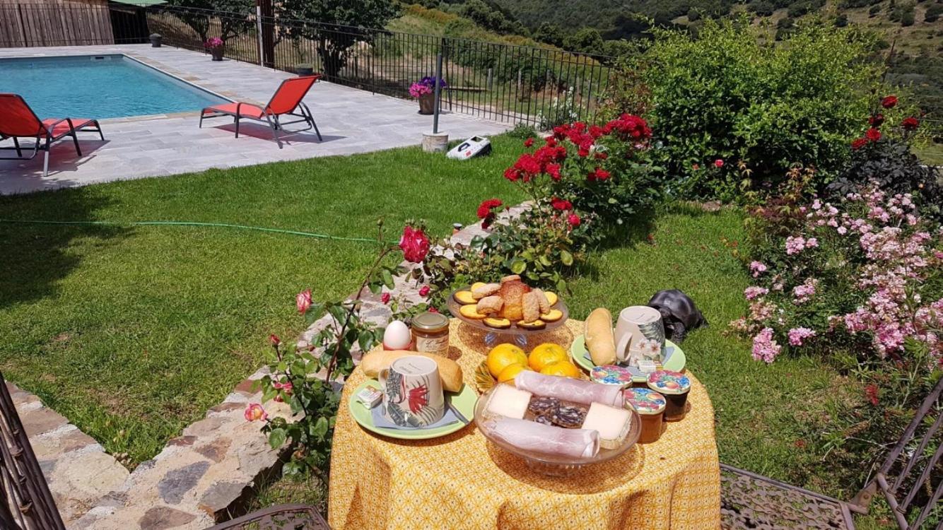 Villa Capraghjese photo 3