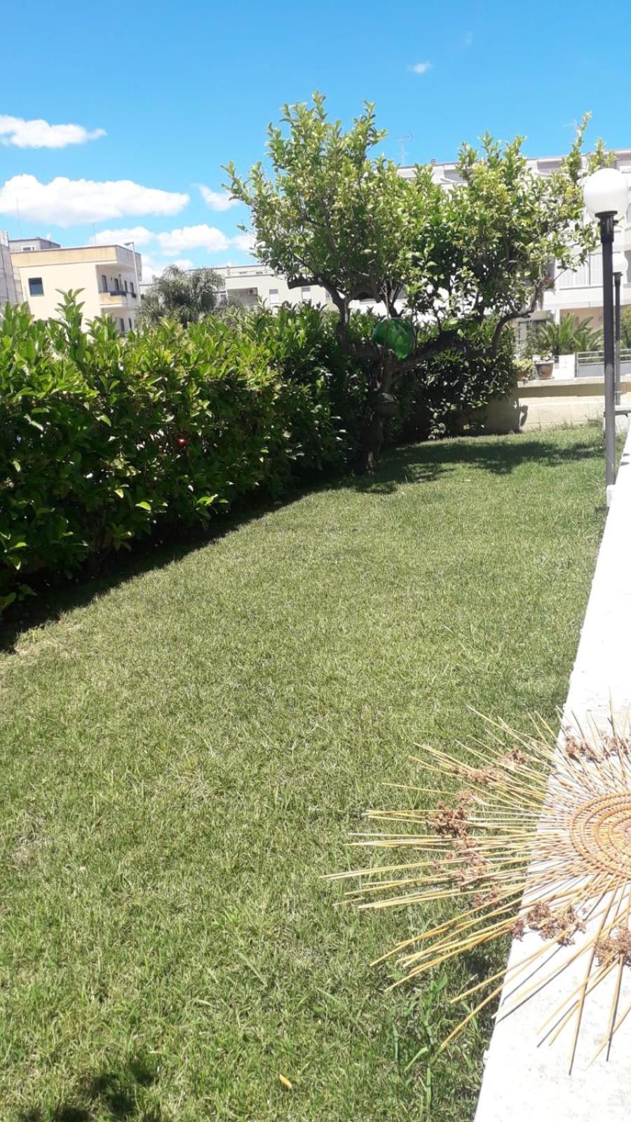 La Talega view 3