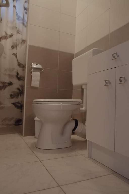 Photo 50