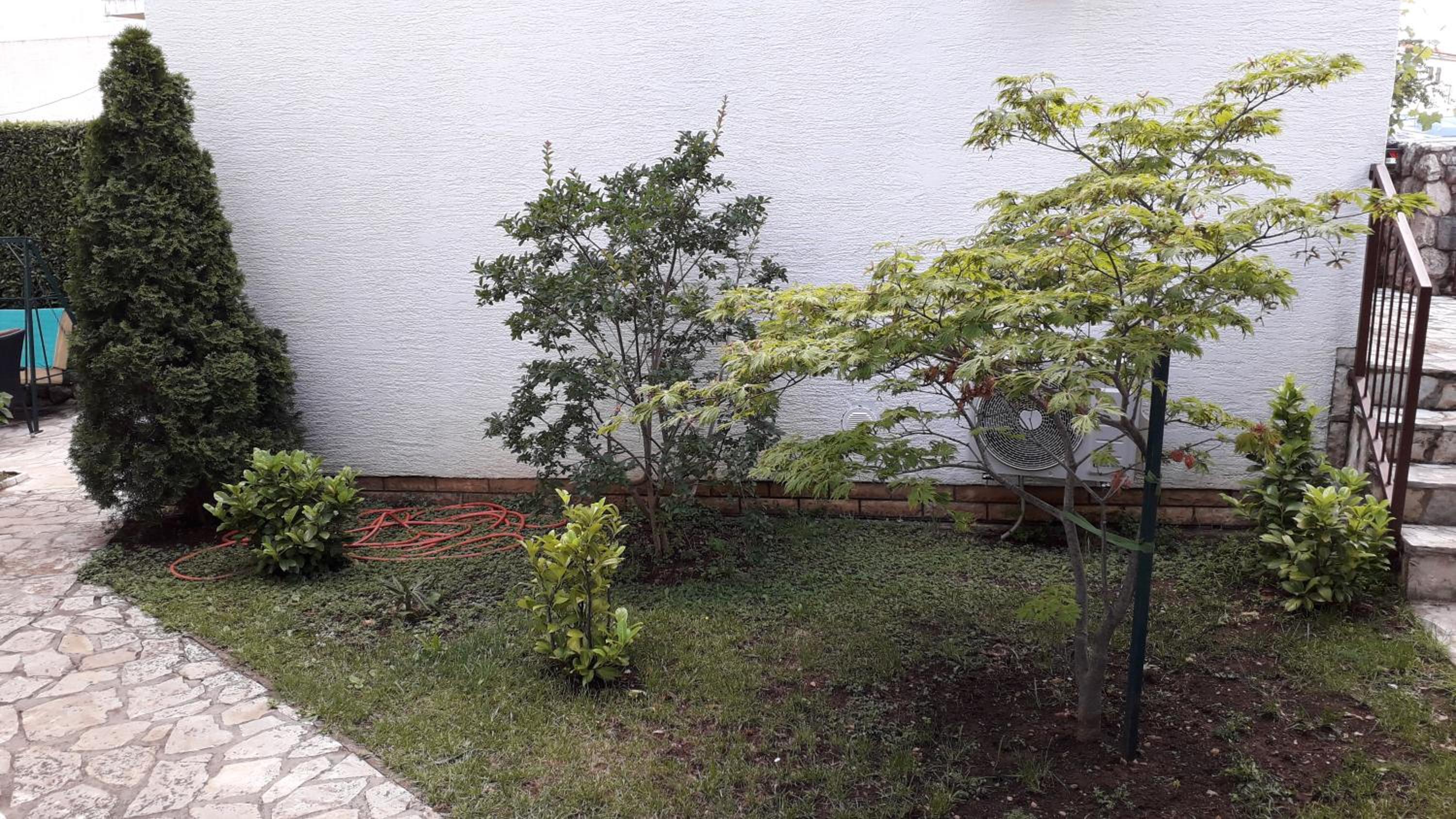 Photo 46