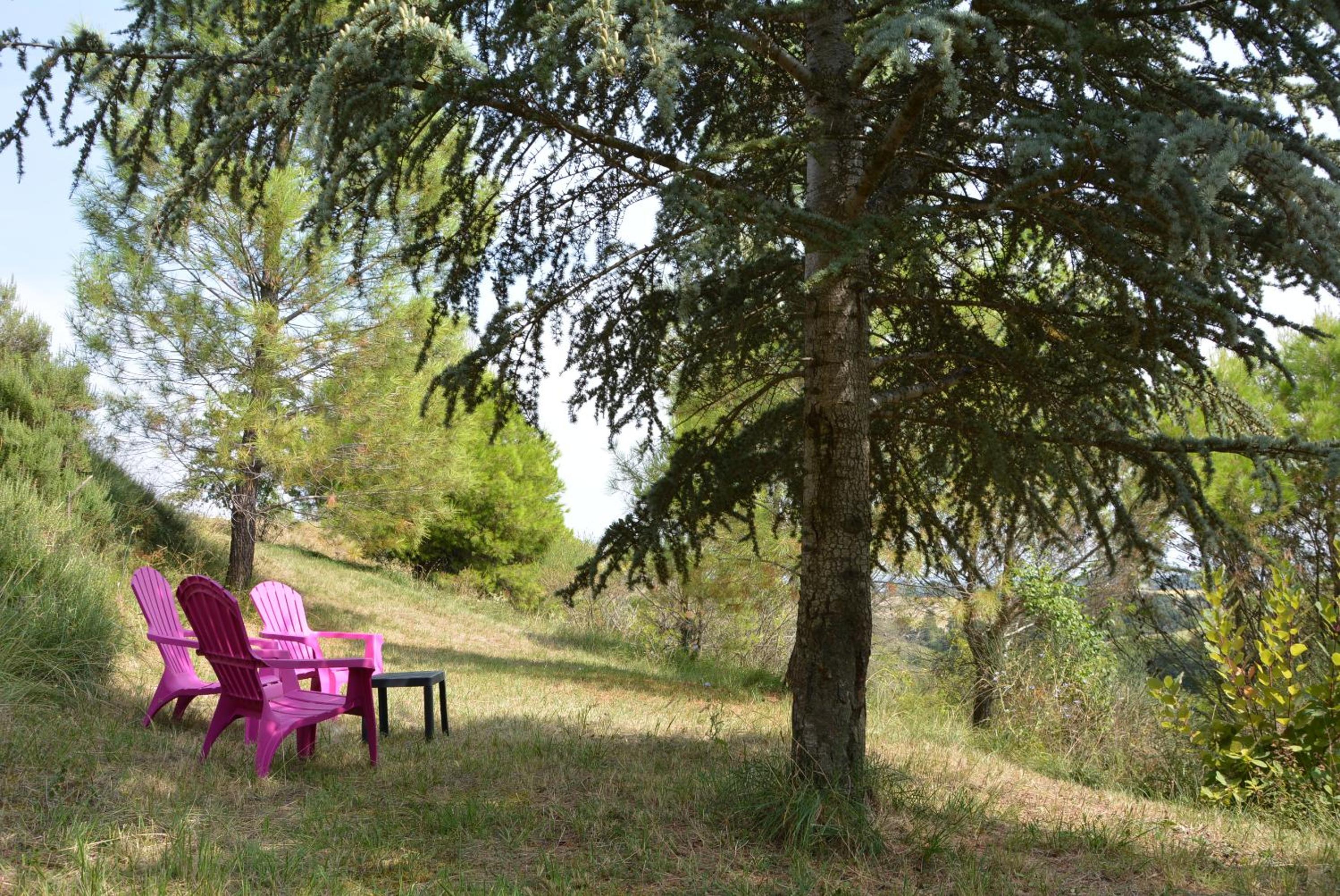 Domaine de Courbieres