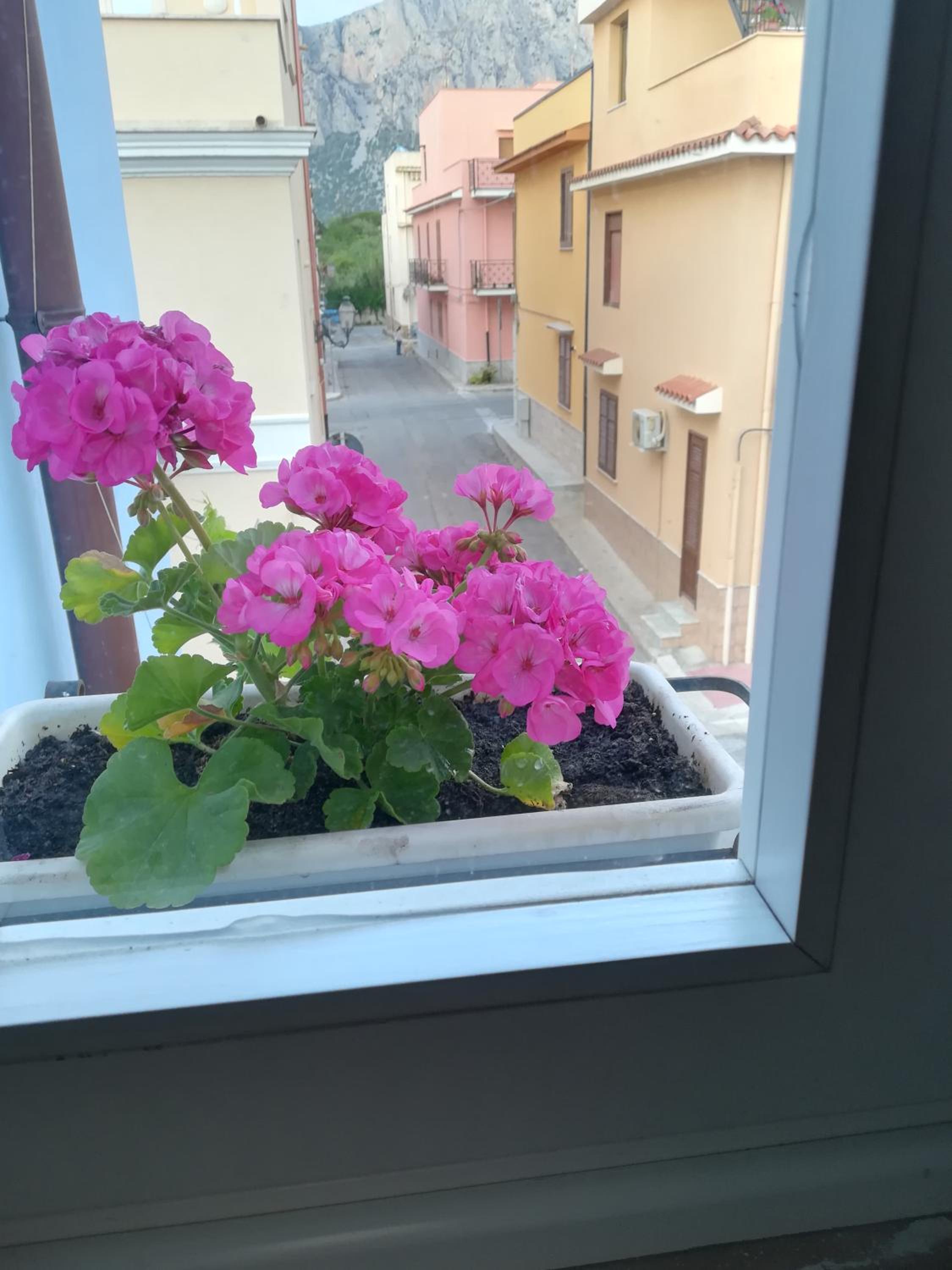 A Vucciria