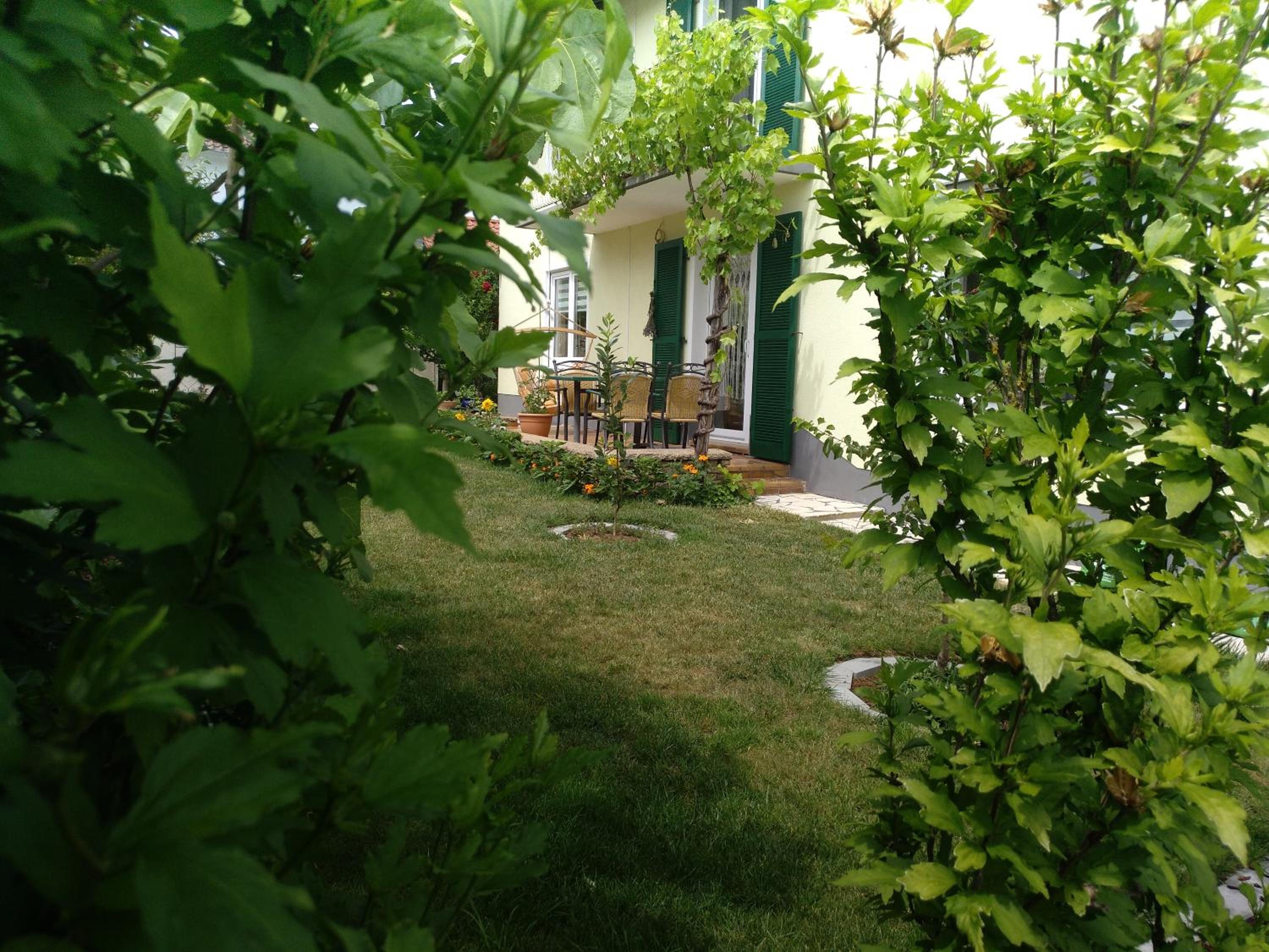 Kakteengarten