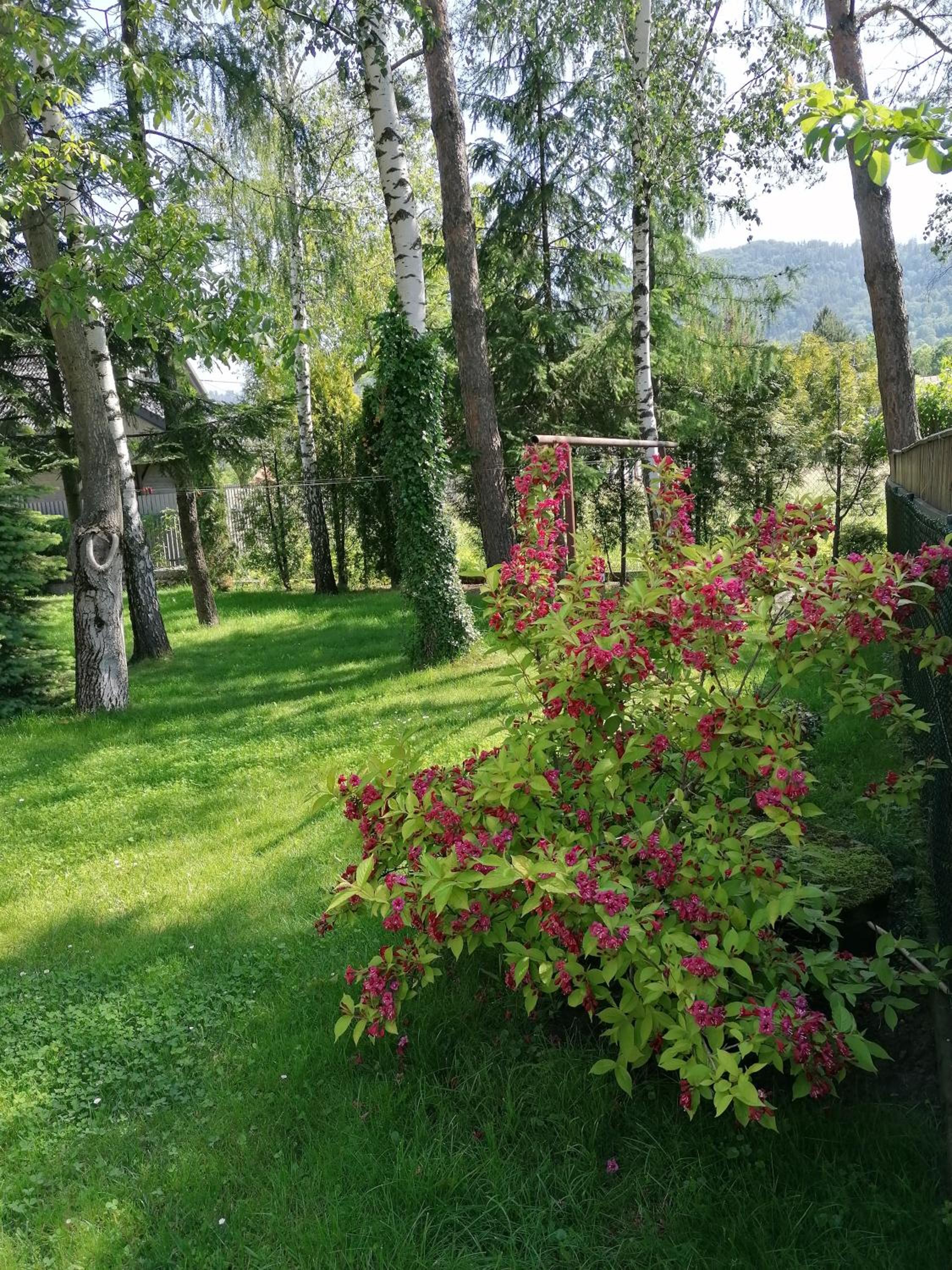 Apartamenty pokoje INA