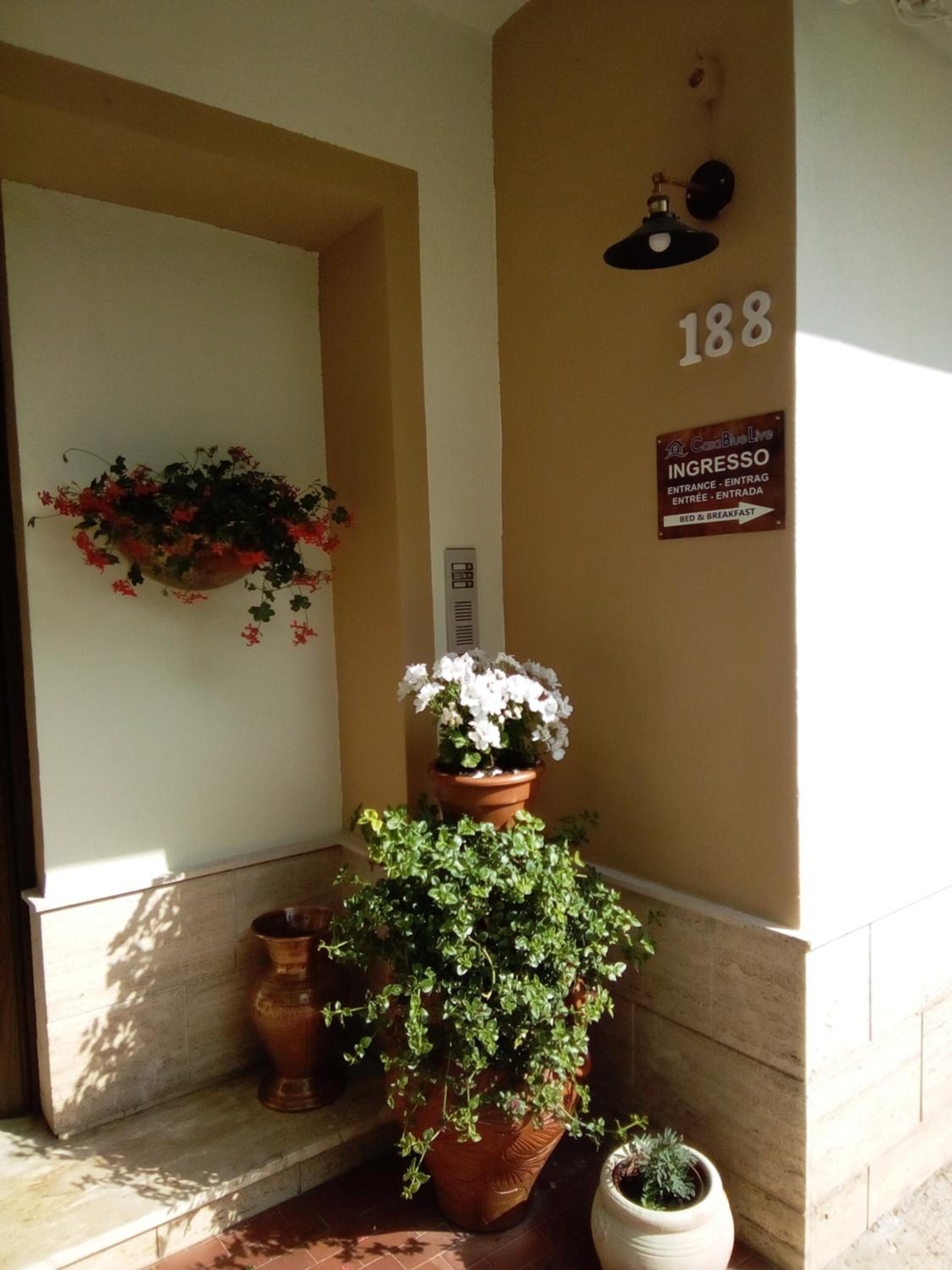 Casa BlueLive view 2
