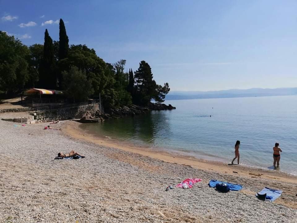 apartman Marko view 4