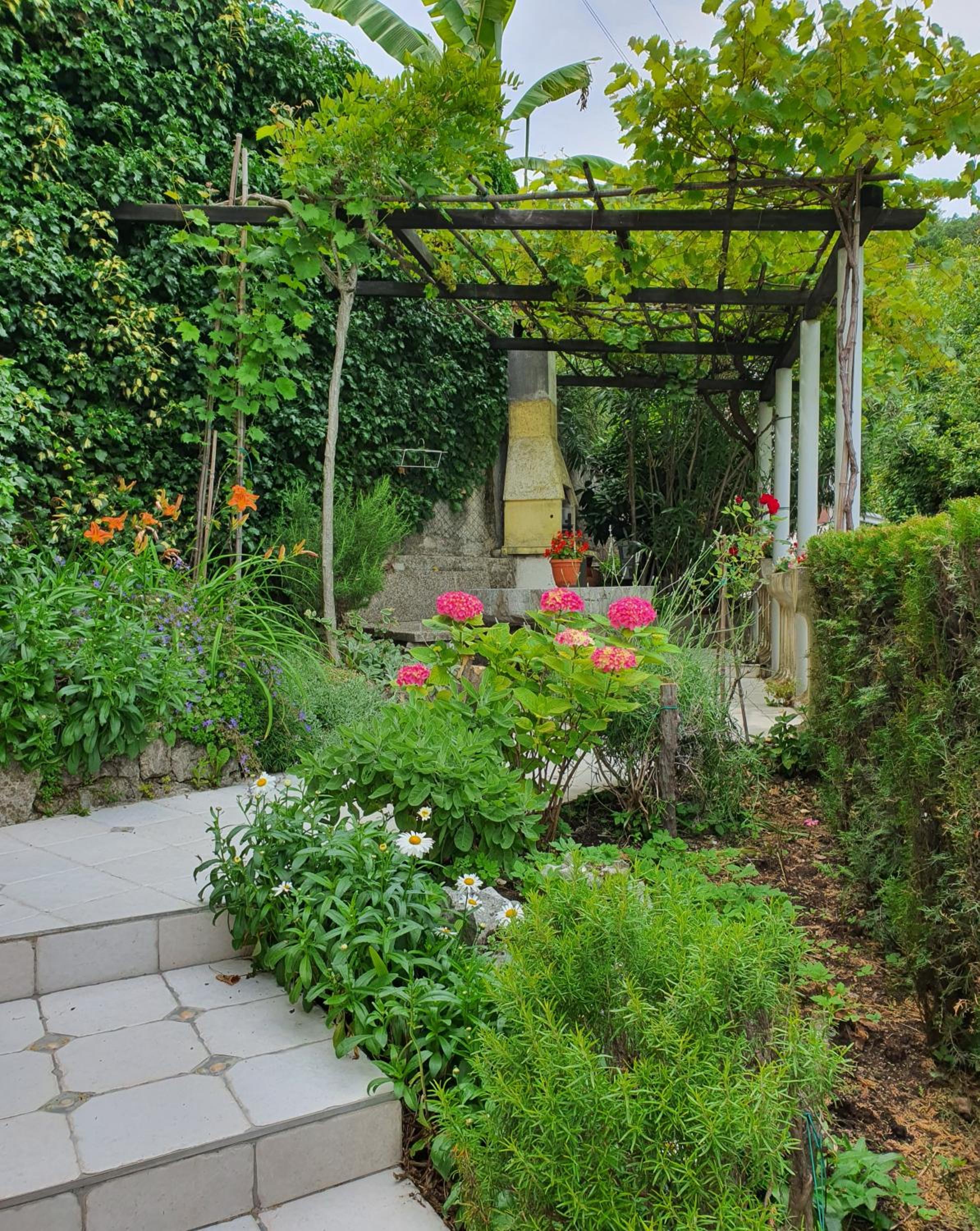 Photo 15