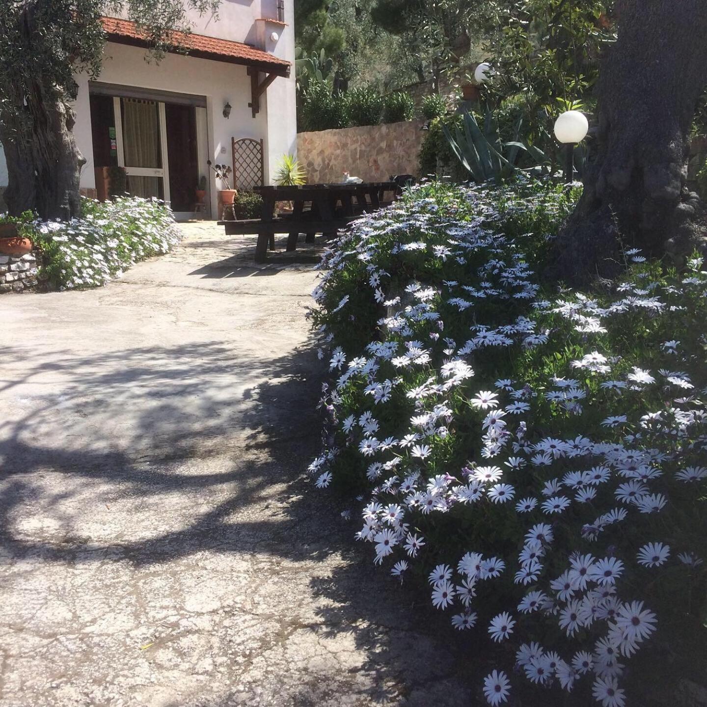 Azienda Agricola B&B Macchiaria view 3