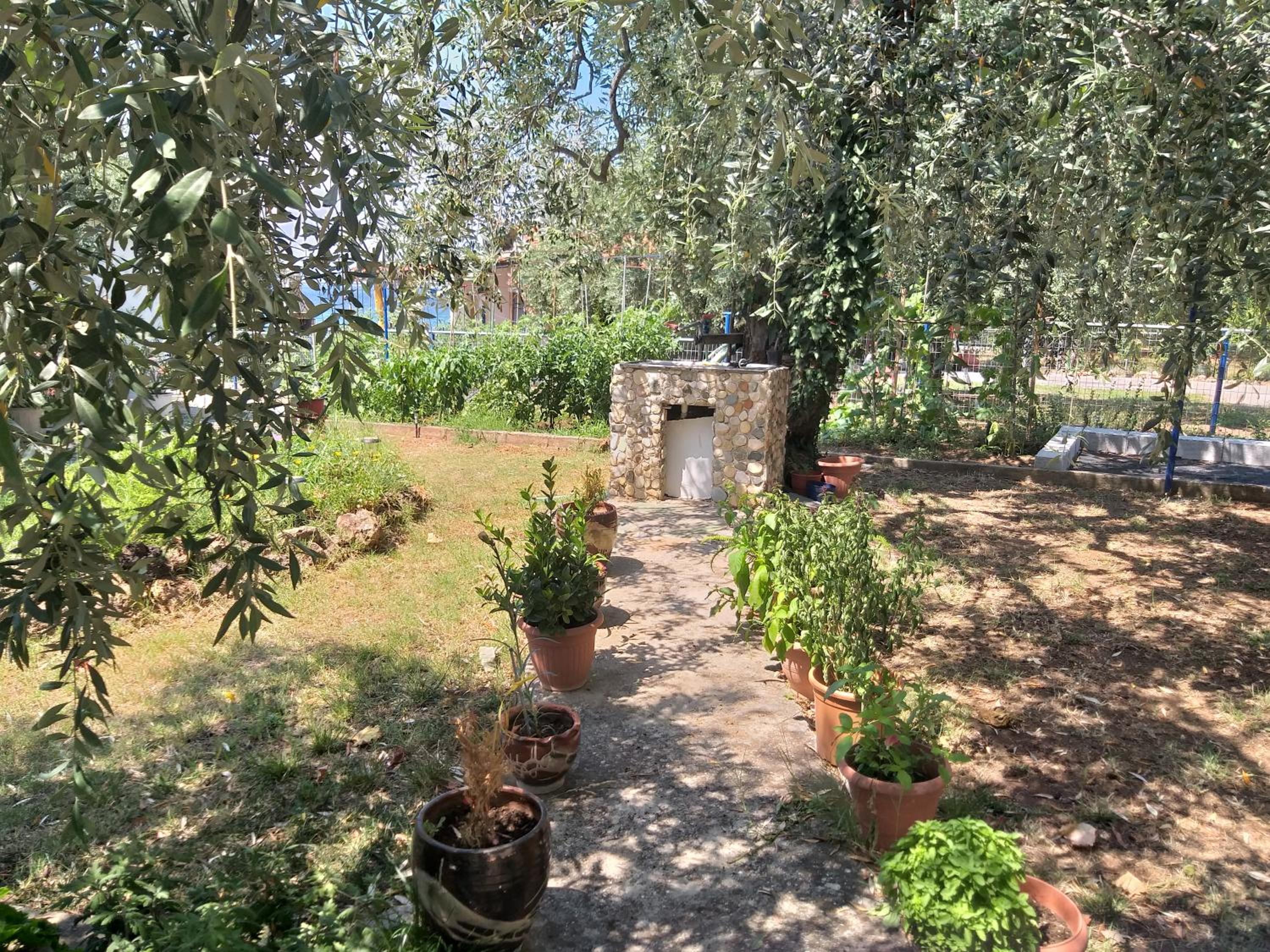 Photo 26
