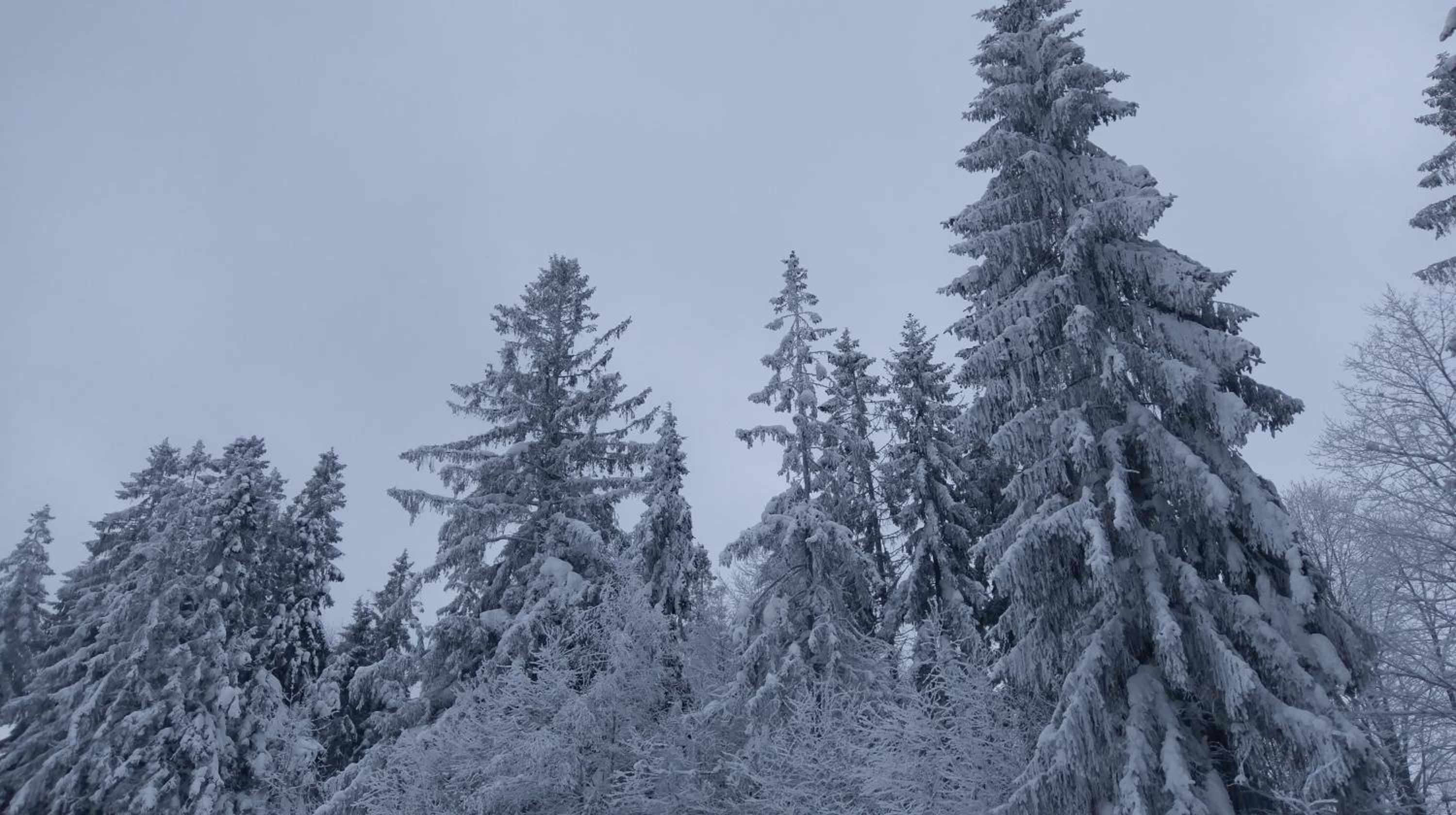 Góralski domek na szczycie view 2