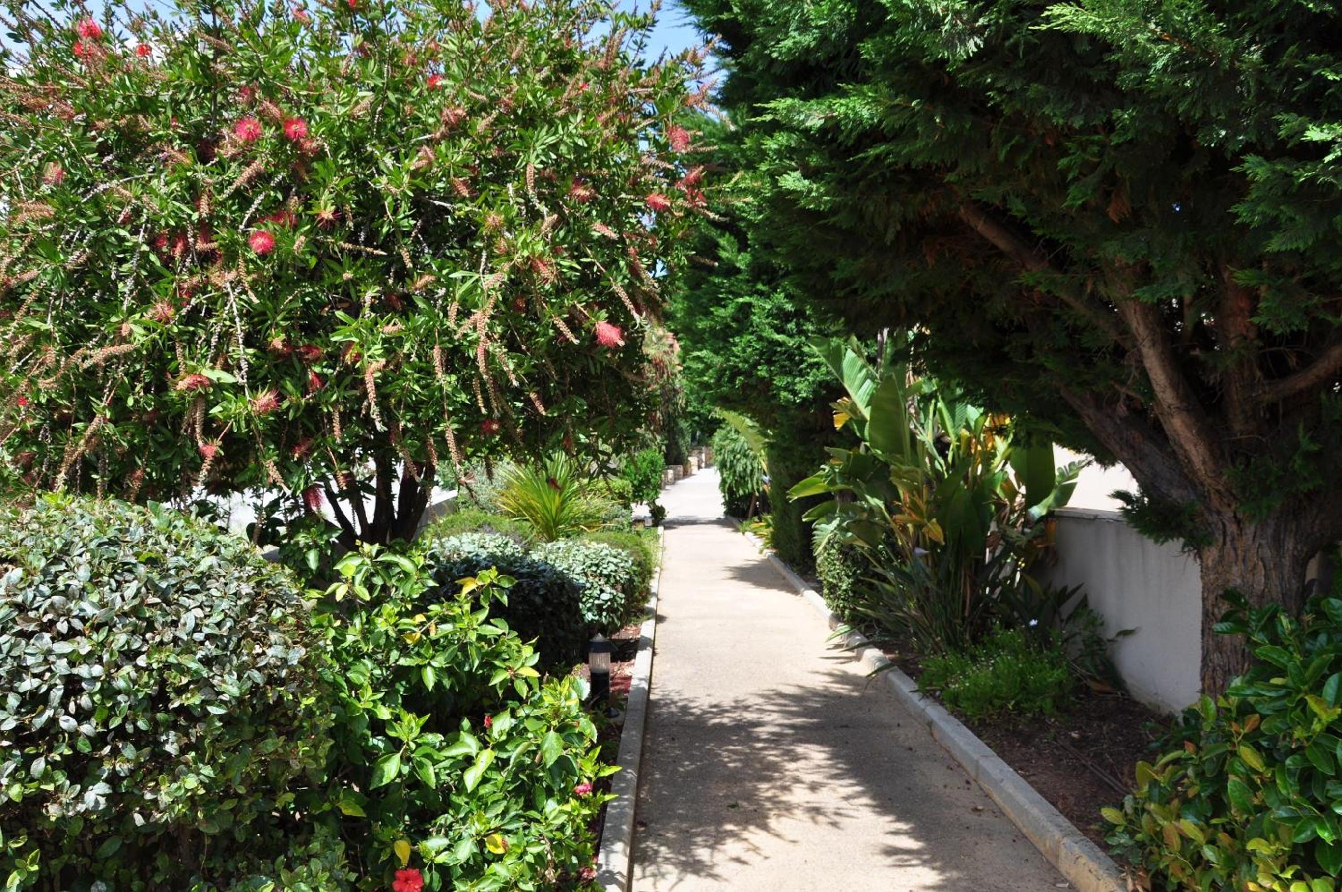 Praia Mar II view 2