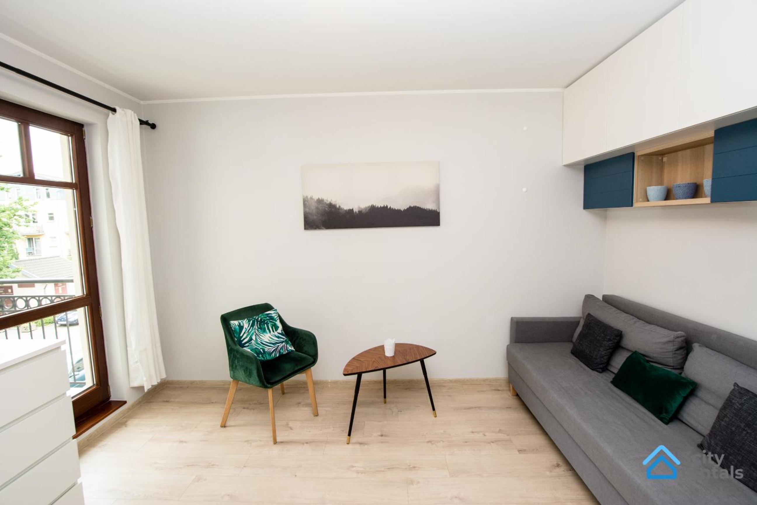 Studio Apartment Karlikowski Młyn view 3