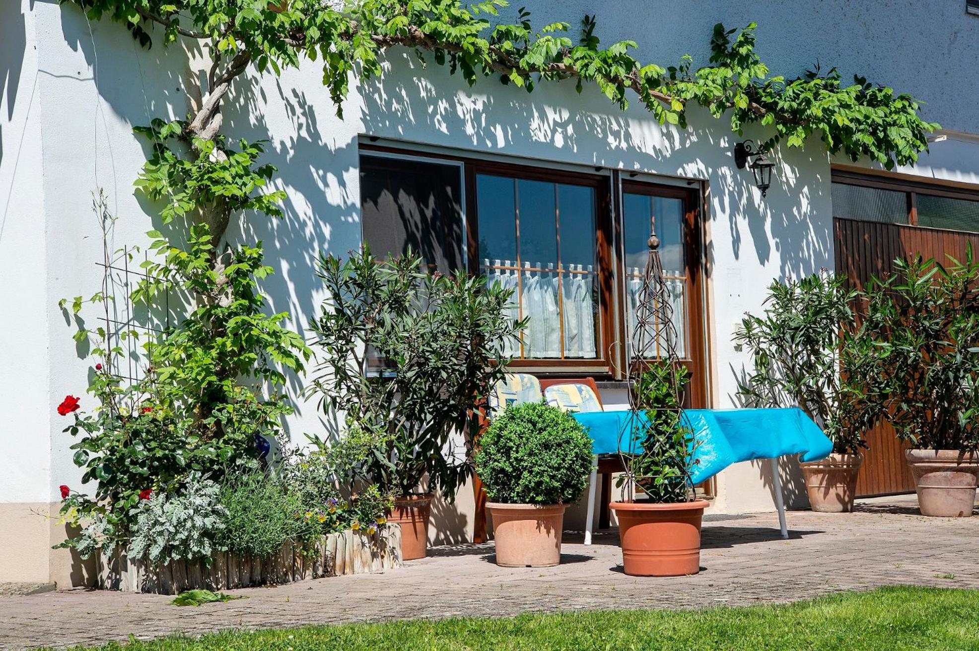 Ferienwohnungen mit Alpensicht view 5
