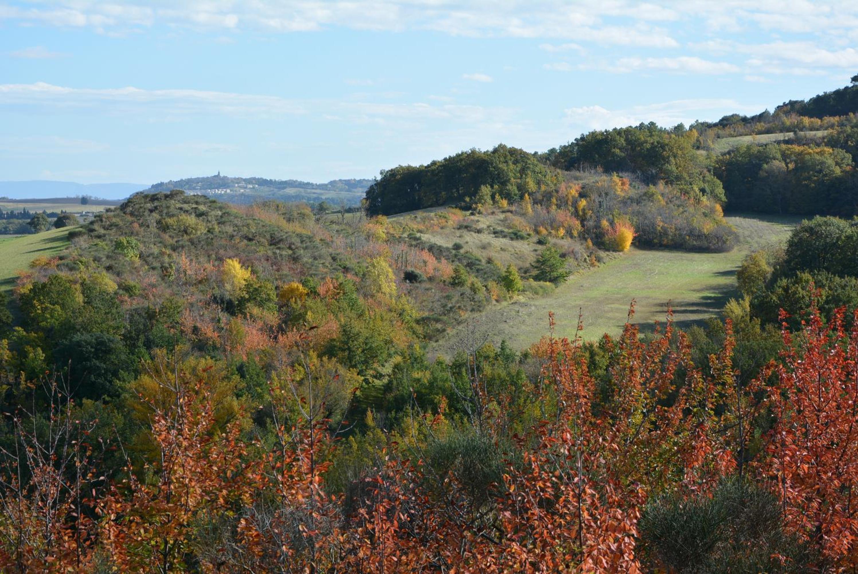 Domaine de Courbieres
