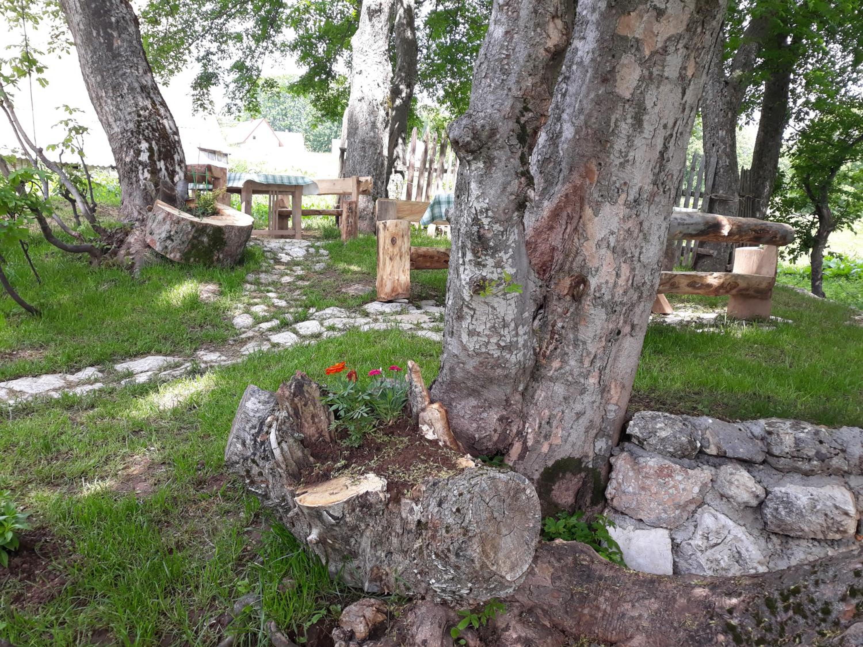 Photo 16