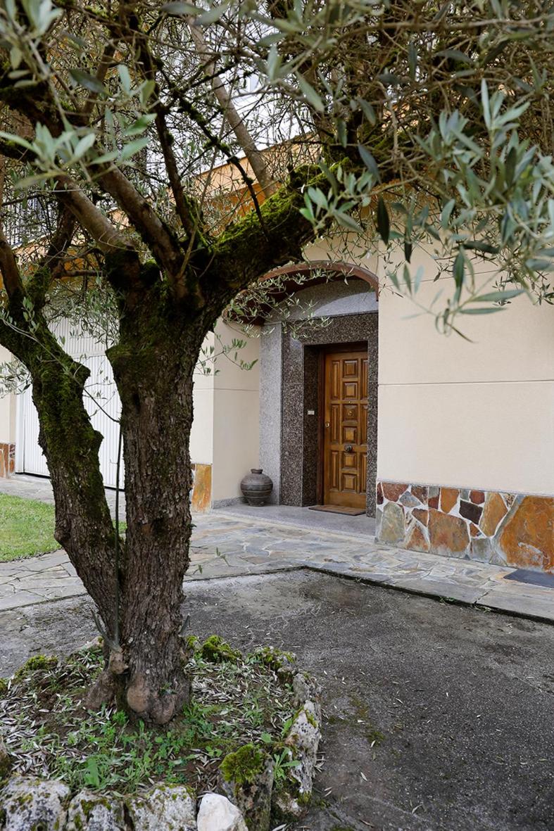 Casa de Castelo photo 5