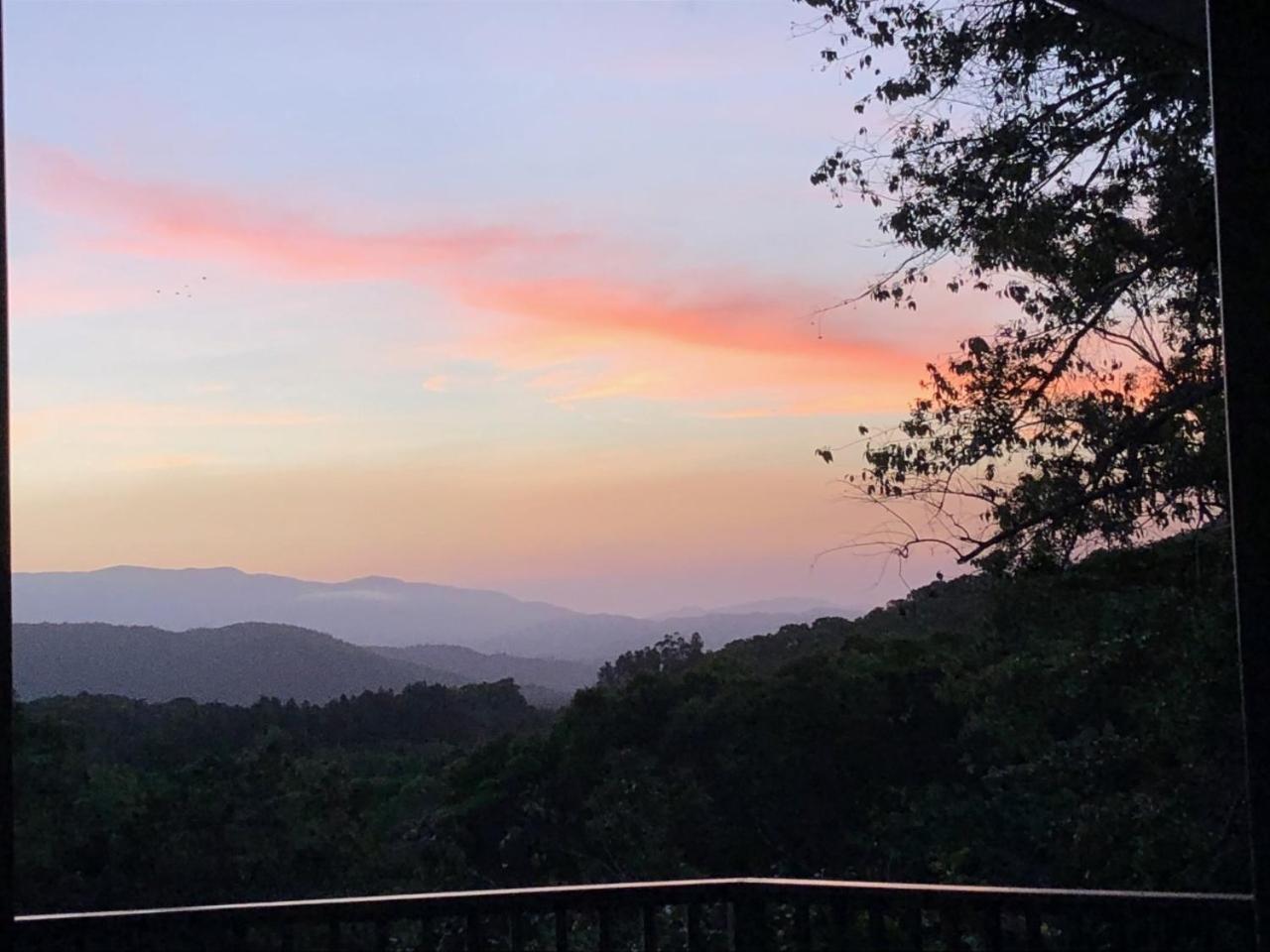 daintree valley cottage