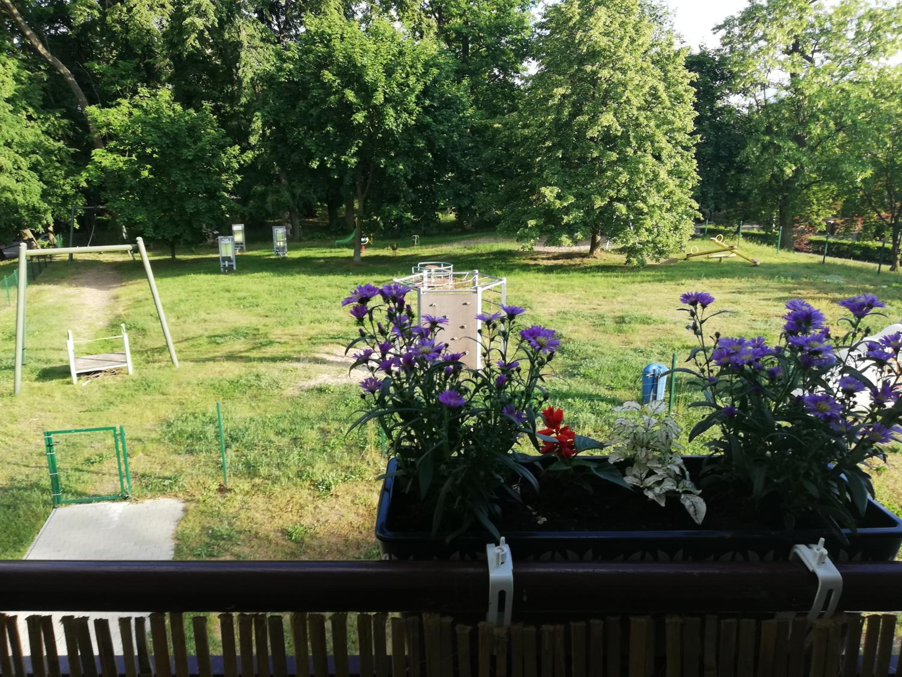 Apartament pod Morwą