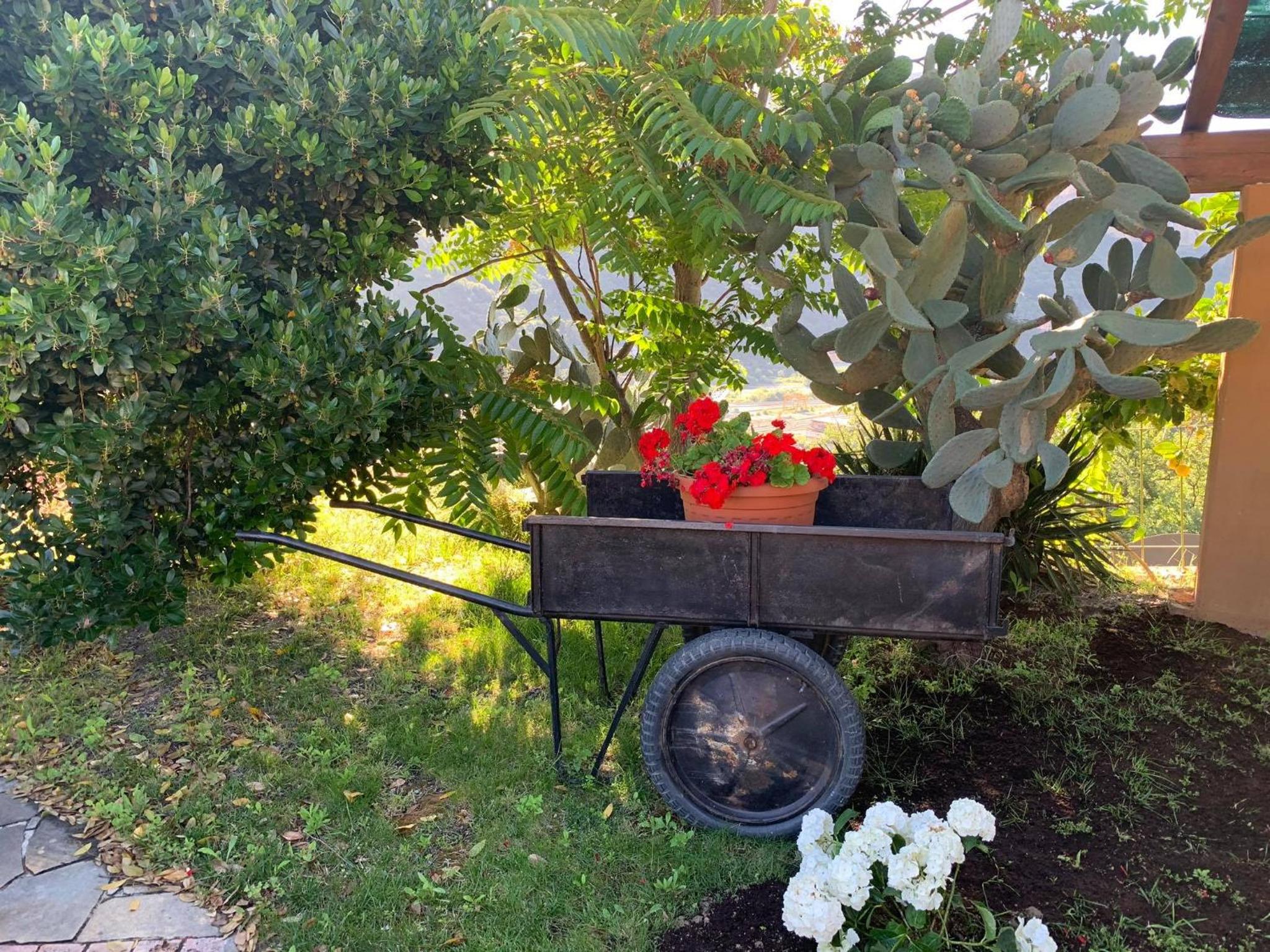 La Beverita