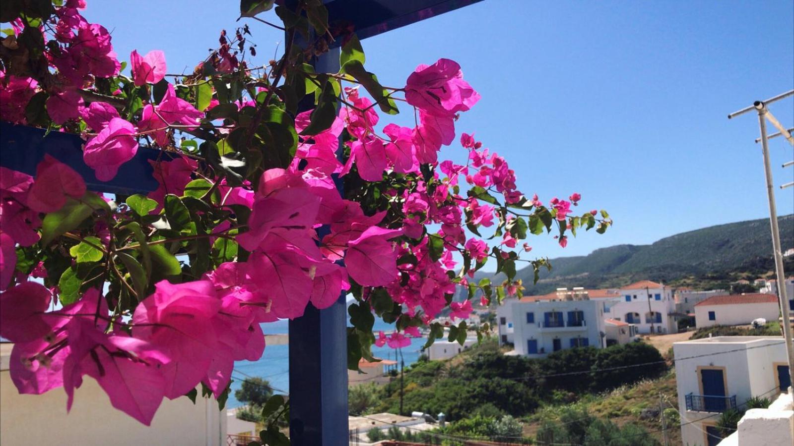 Pelagia Beach Studios