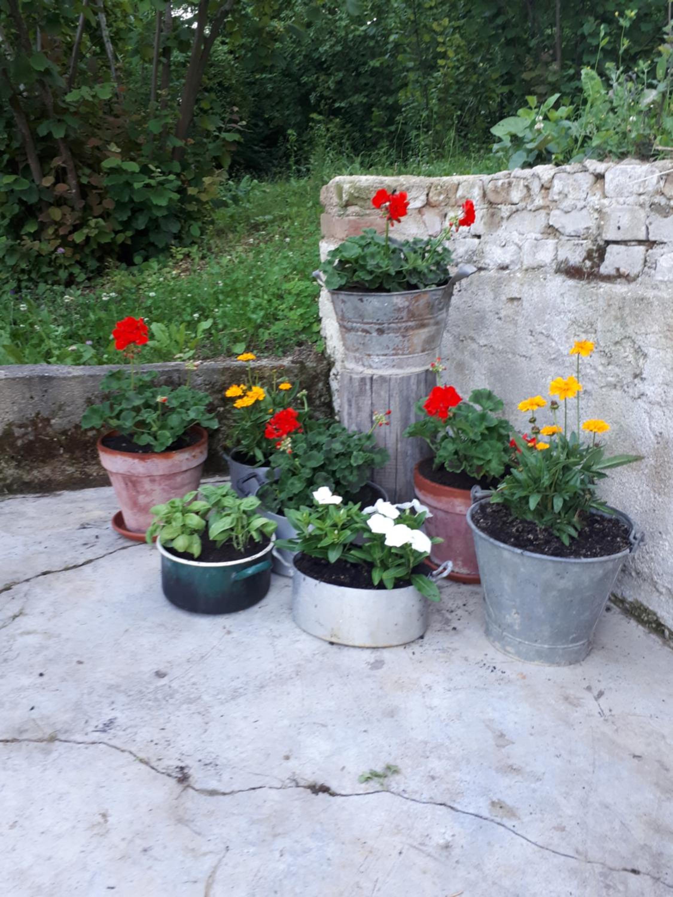 Il Noccioletto view 3