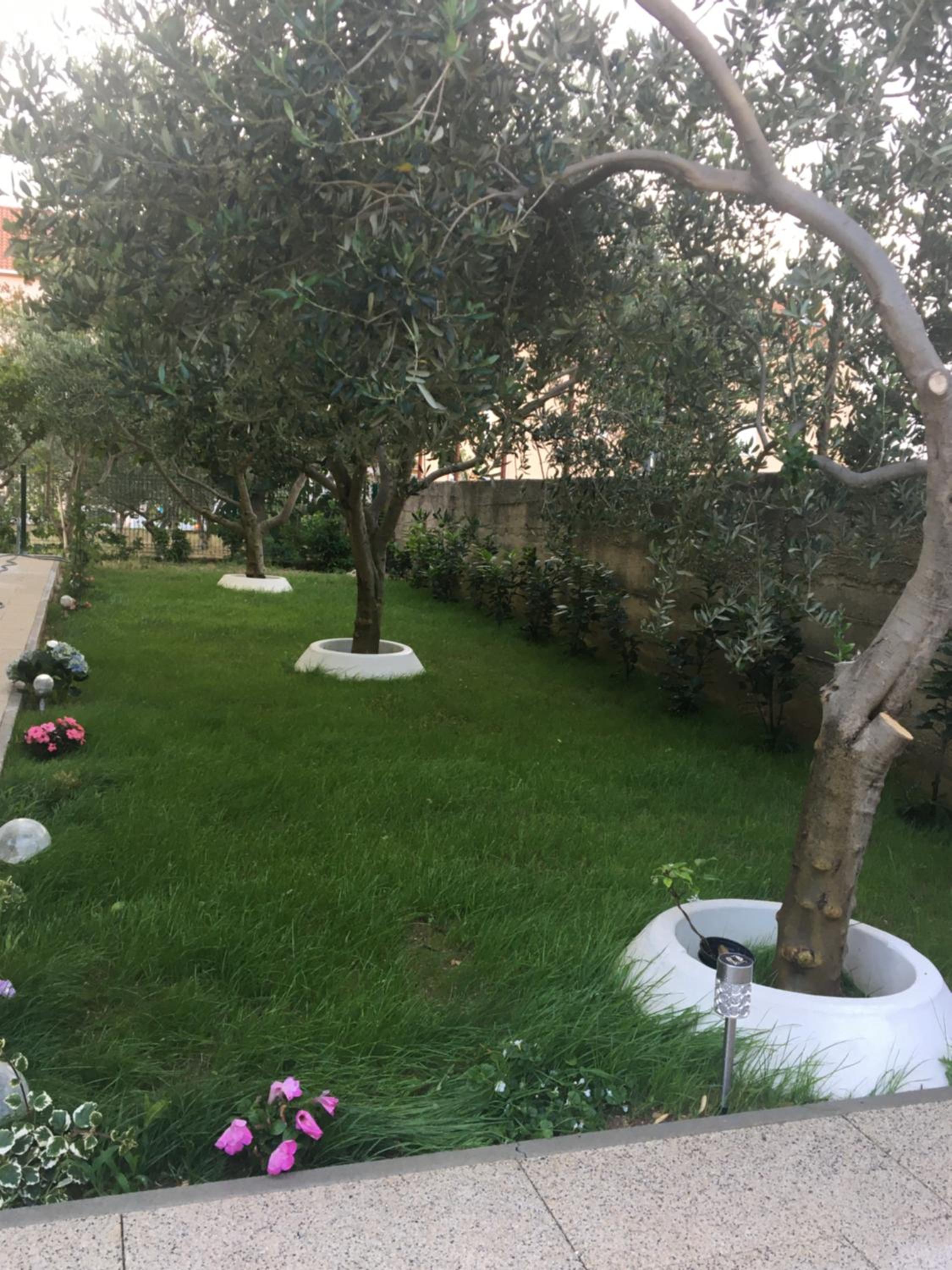 Apartment Vedran