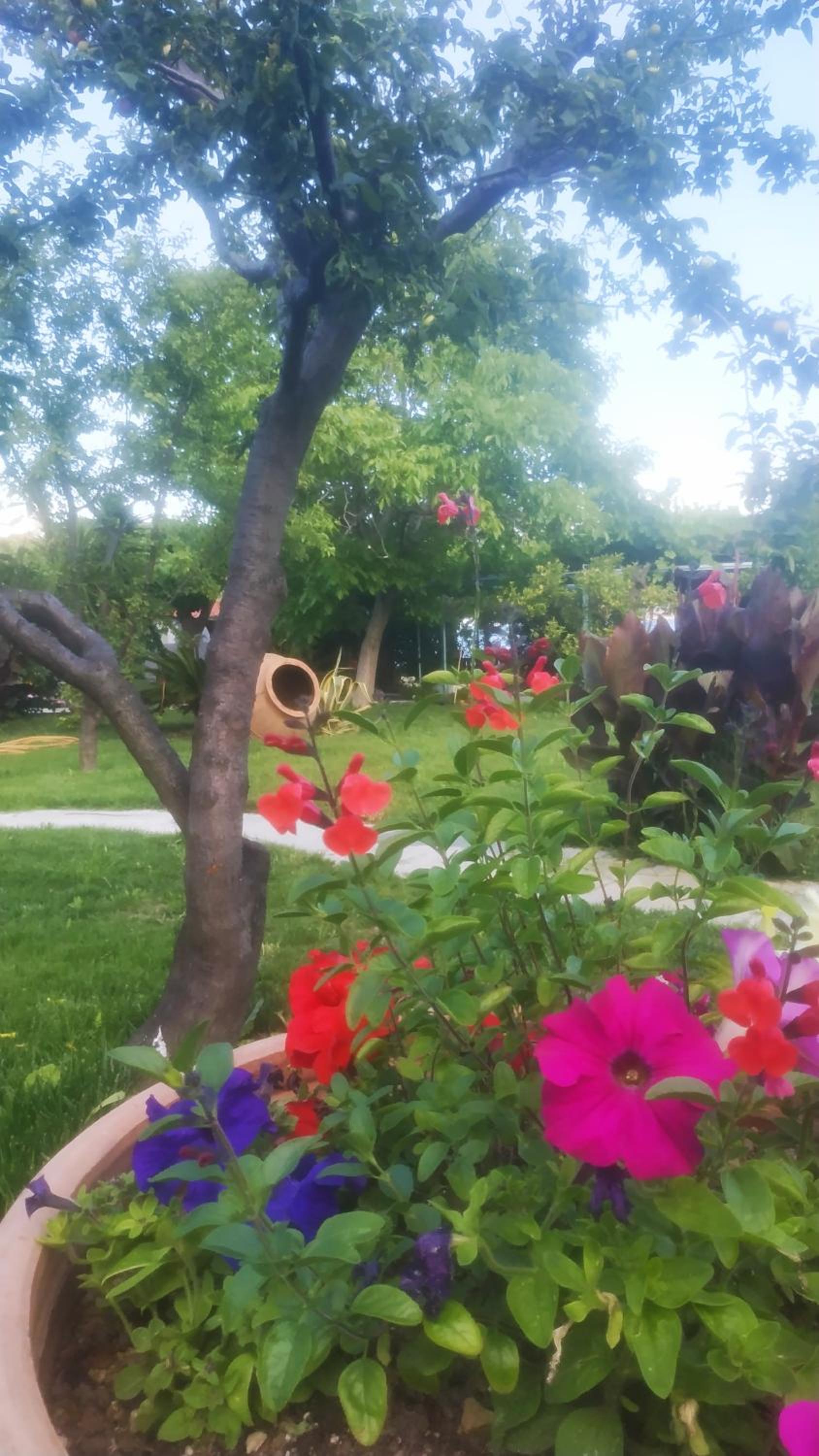 garden