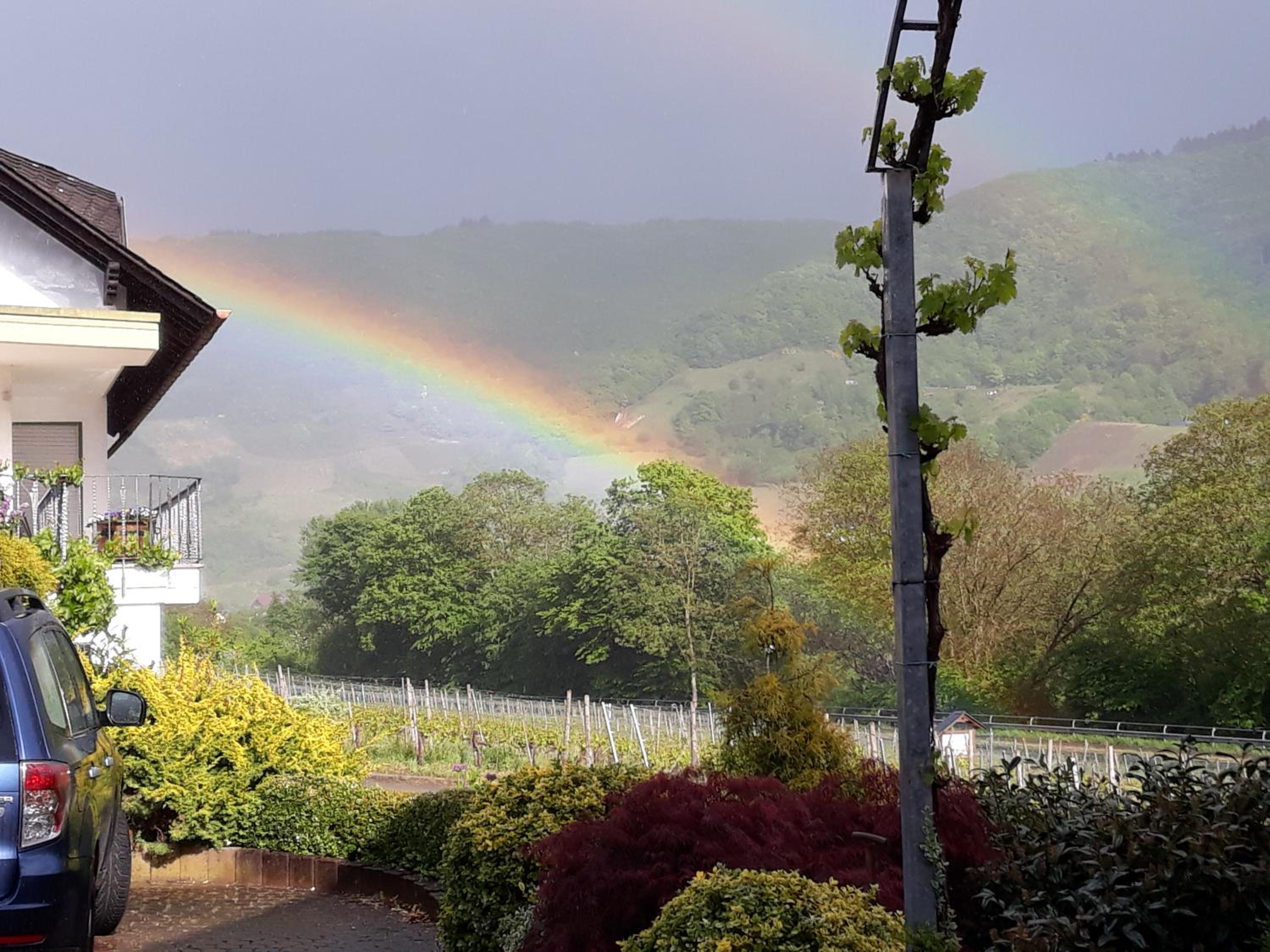 Ferienweingut-Liebfried view 3