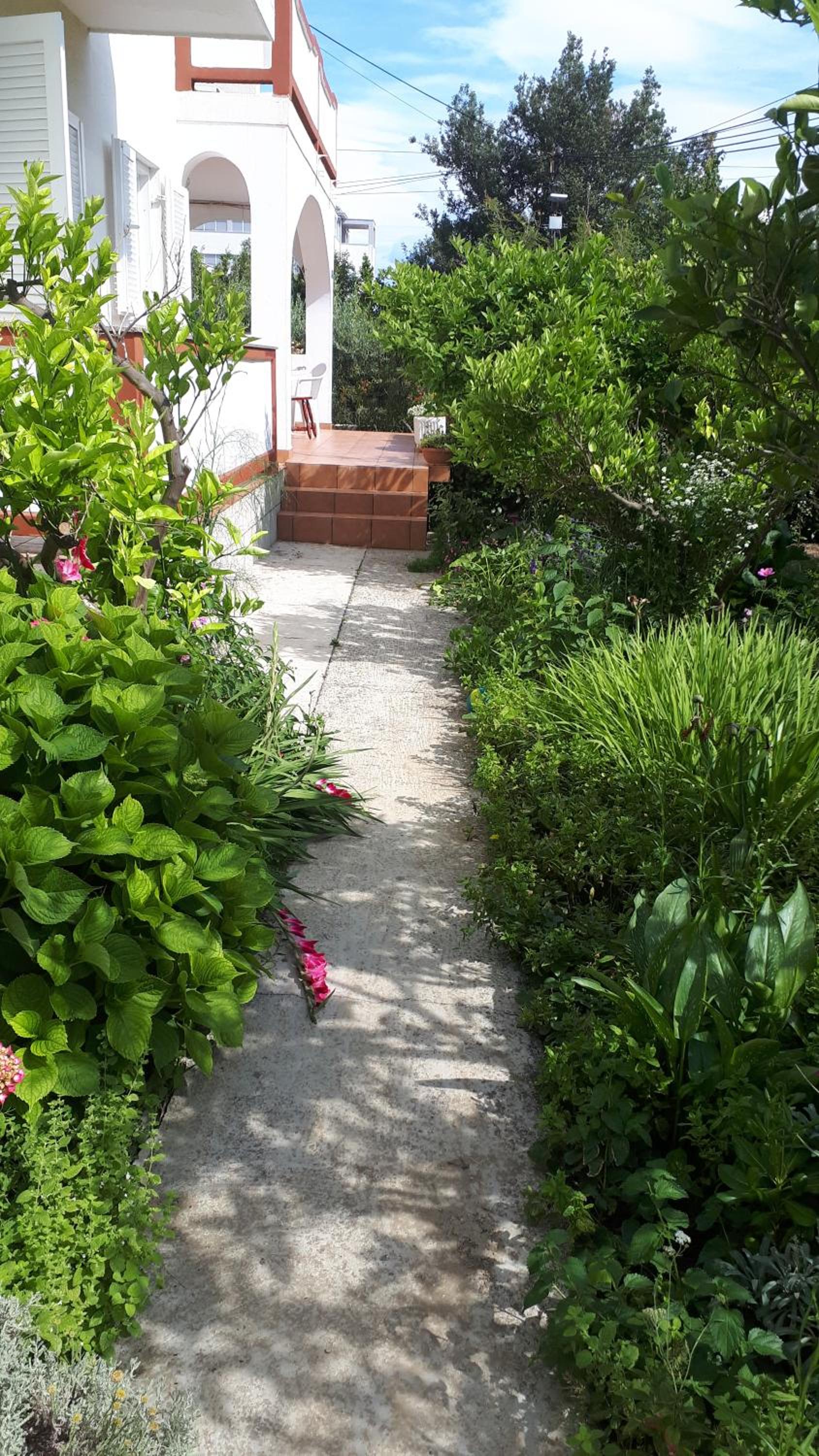 Home Padovan view 4