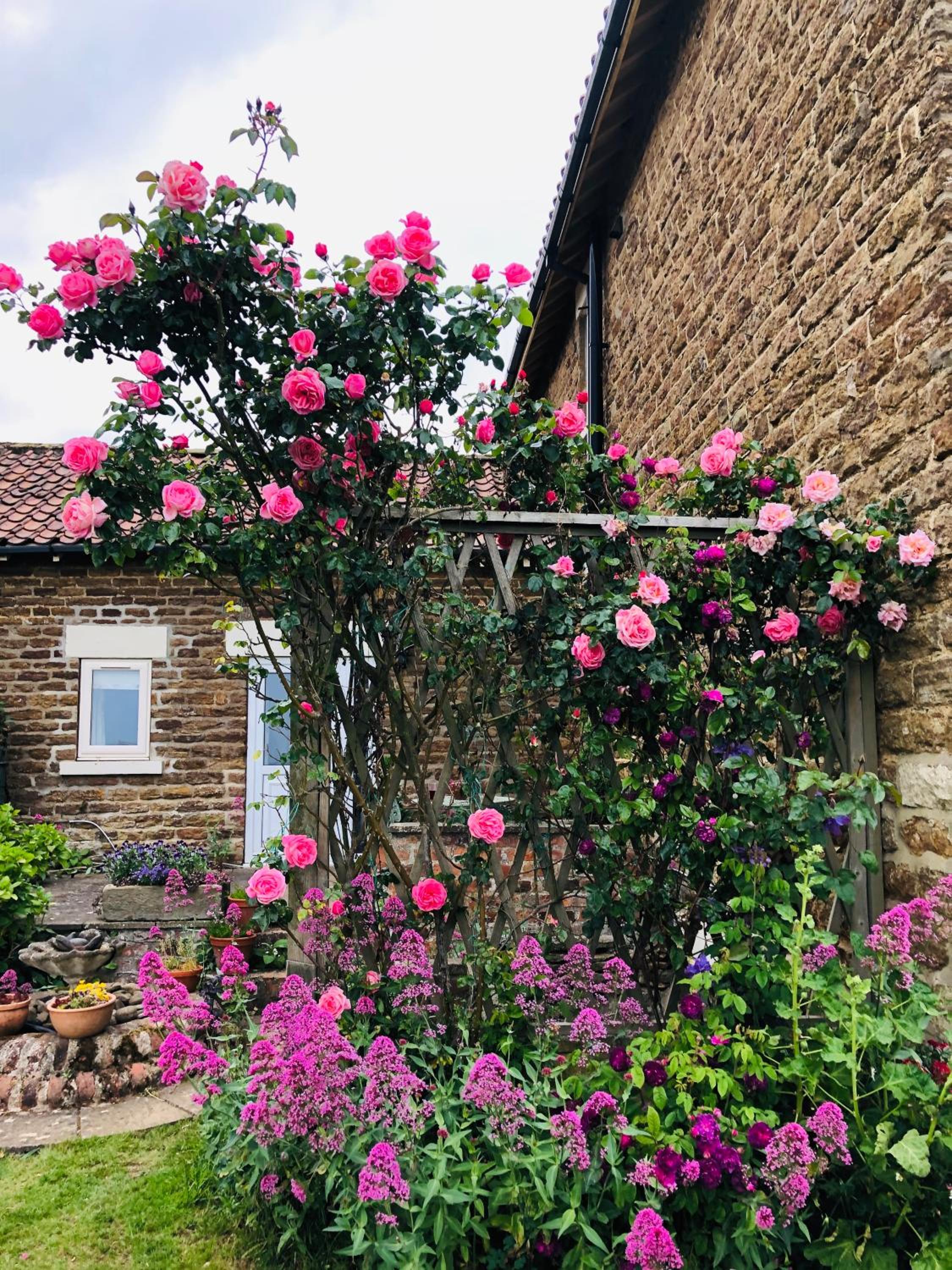 Hall Farm Bed & Breakfast