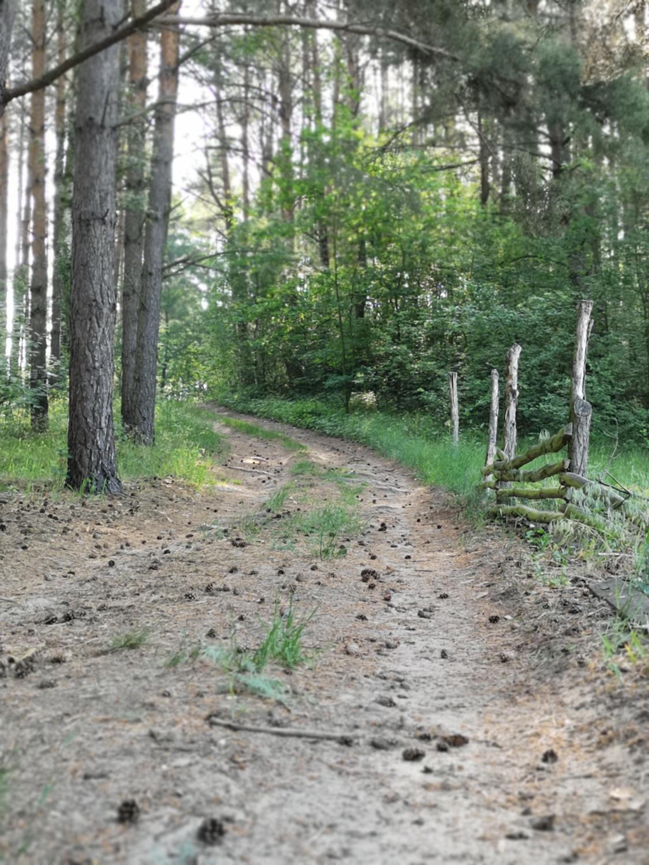 Polne Zacisze view 5