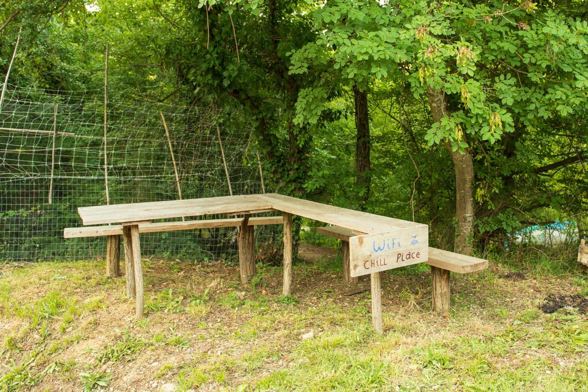 Photo 44