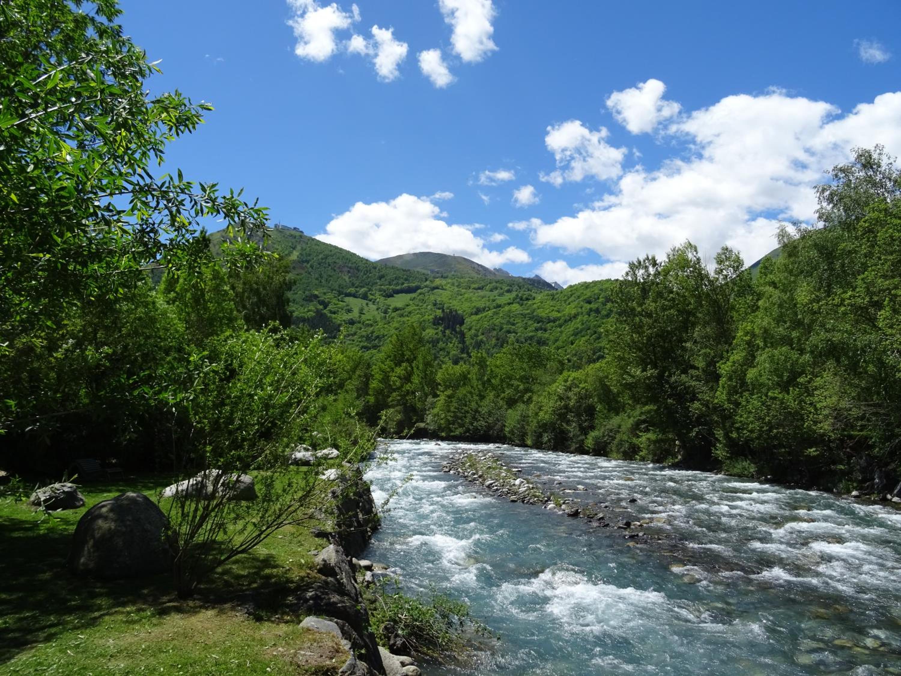 Photo 13