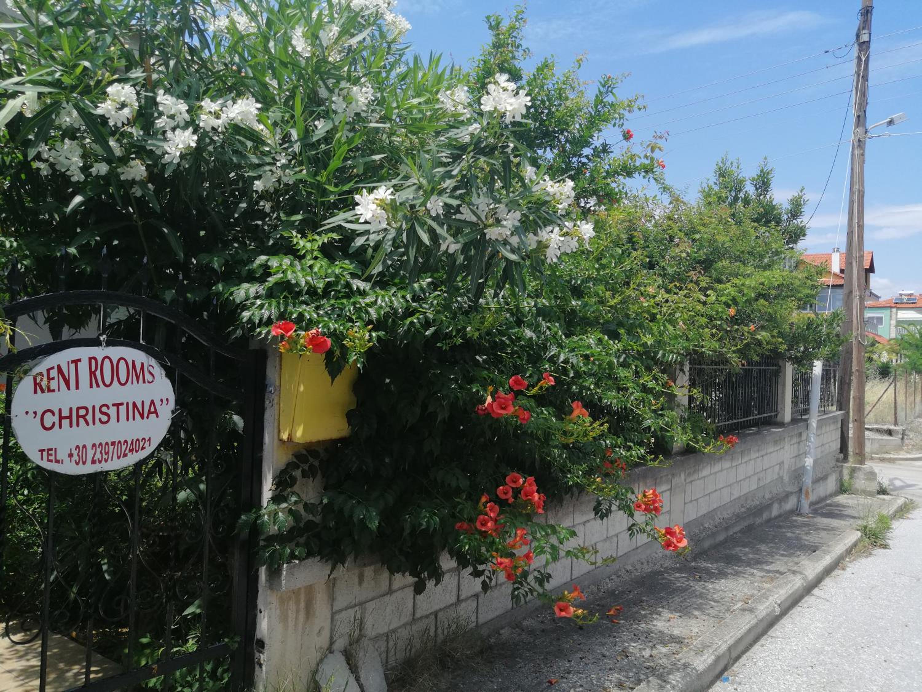 Photo 26
