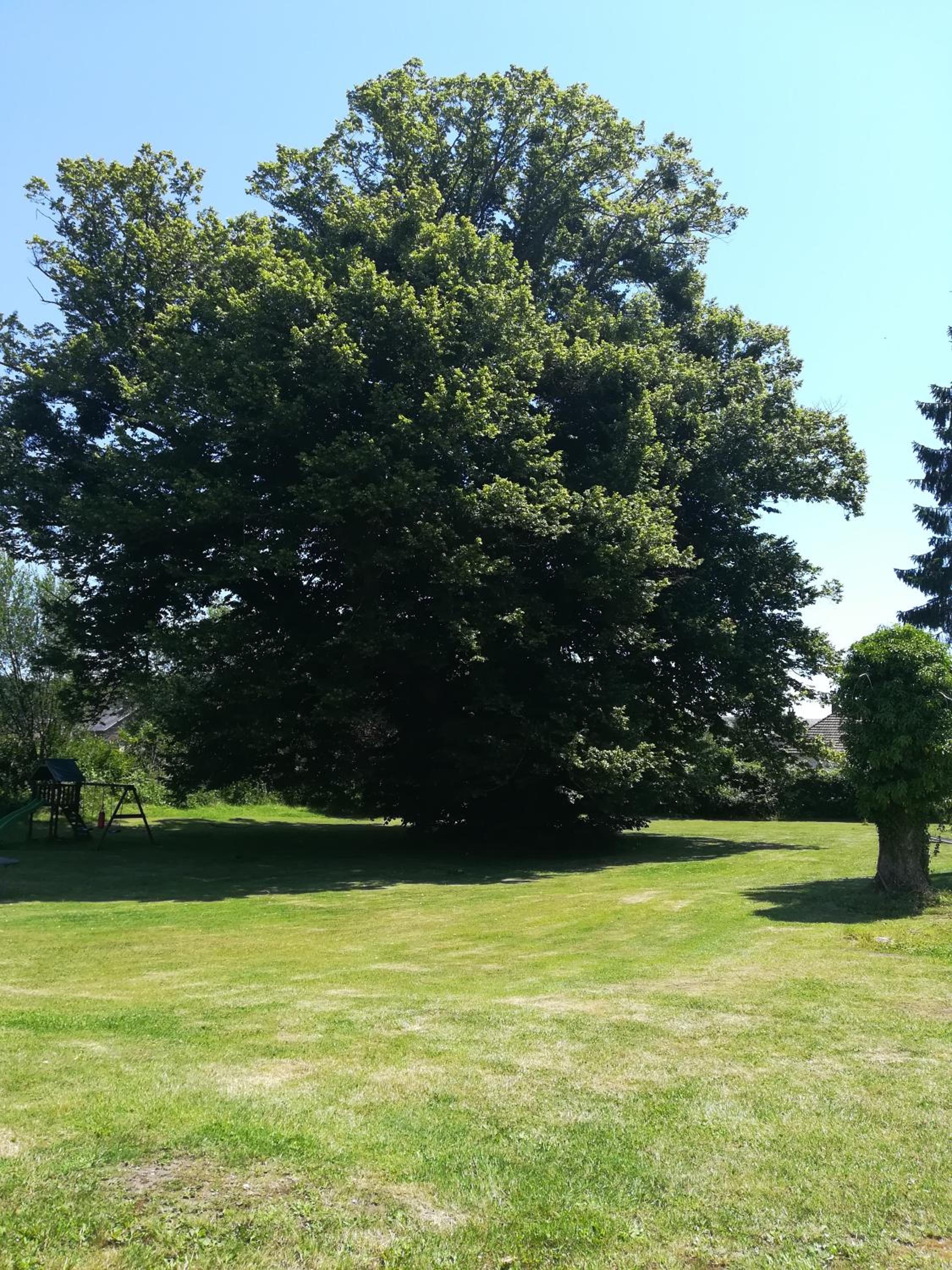 Chateau Gruchet Le Valasse view 3