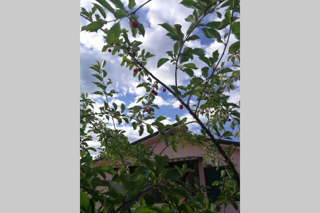 Photo 40