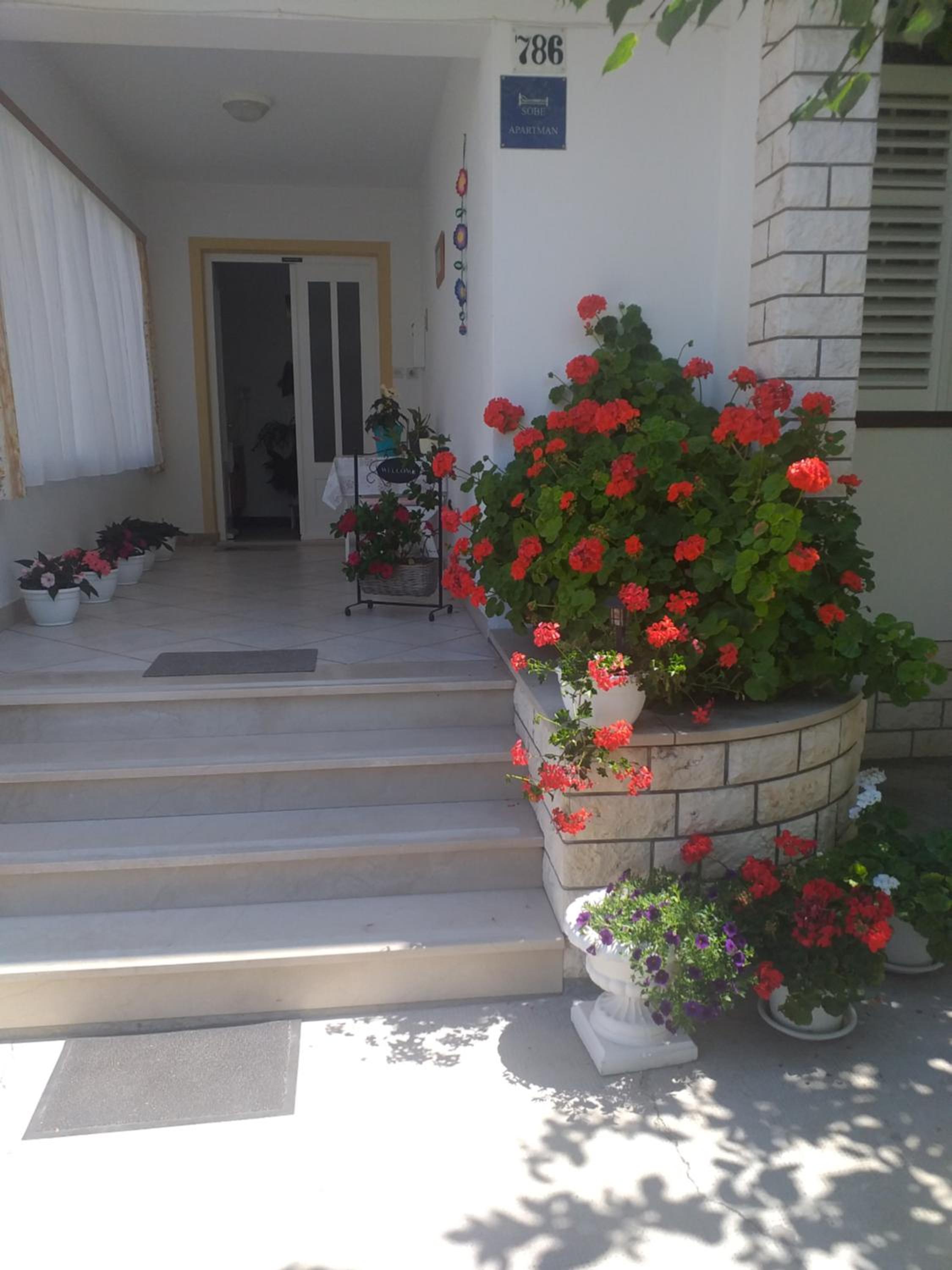 Photo 32
