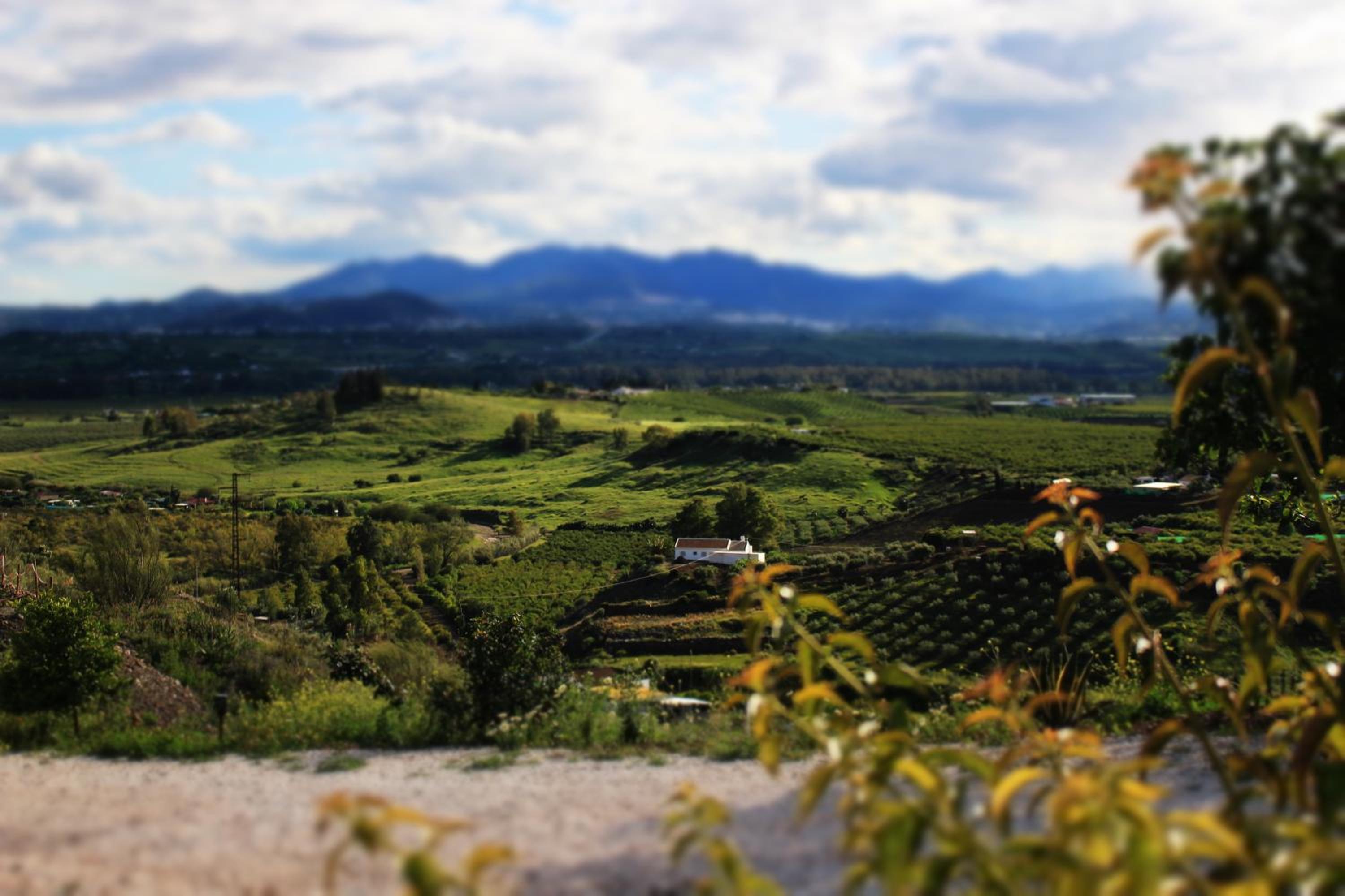 Casa de la Vida Málaga photo 3